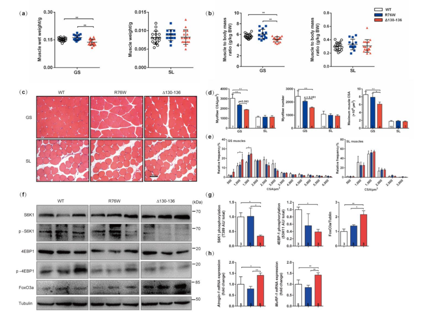 Cells 10 00237 g001 Cells 10 00237 g001