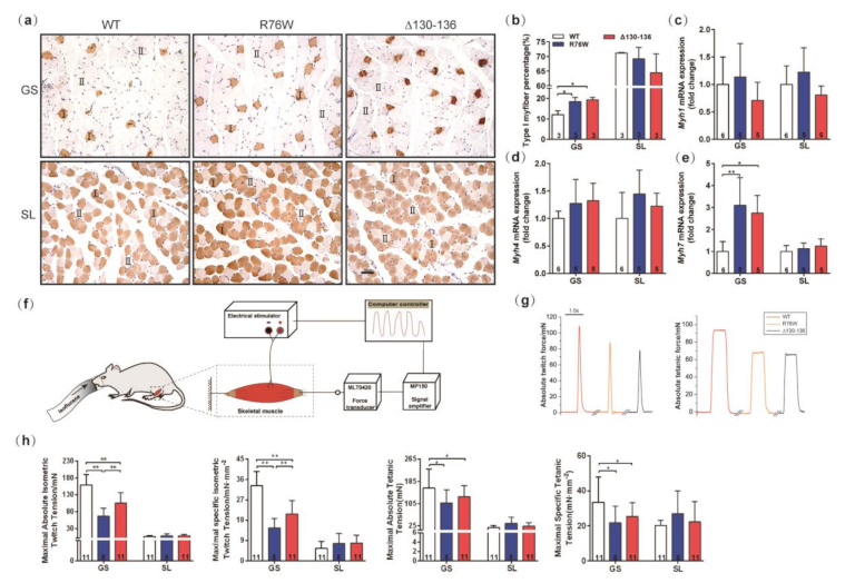Cells 10 00237 g002 Cells 10 00237 g002