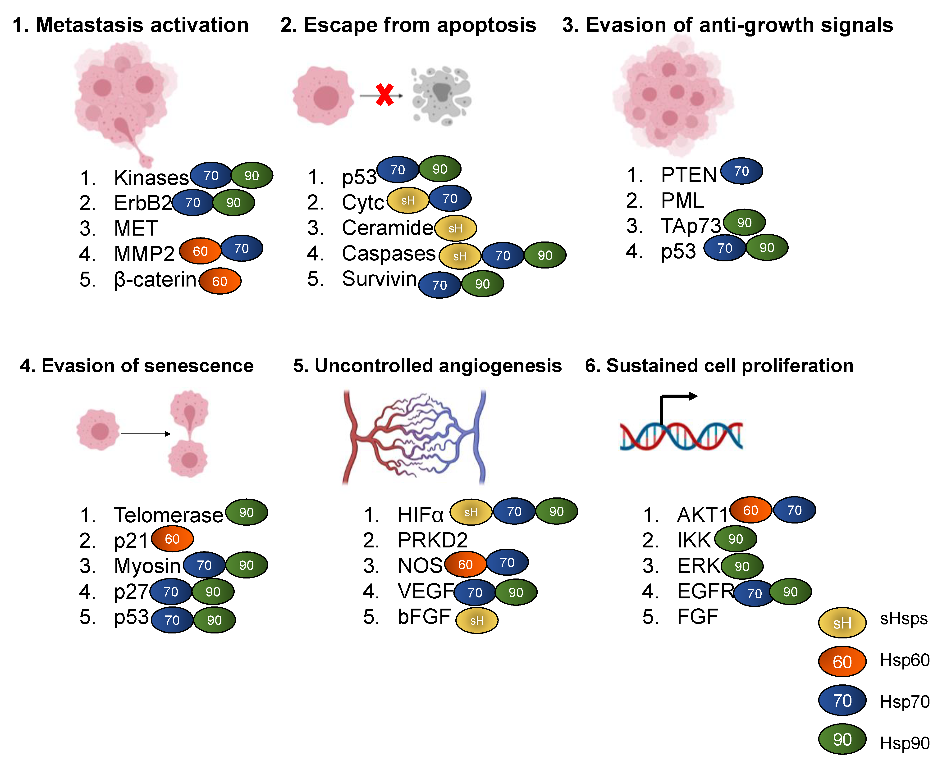 Cells 10 00254 g001 Cells 10 00254 g001