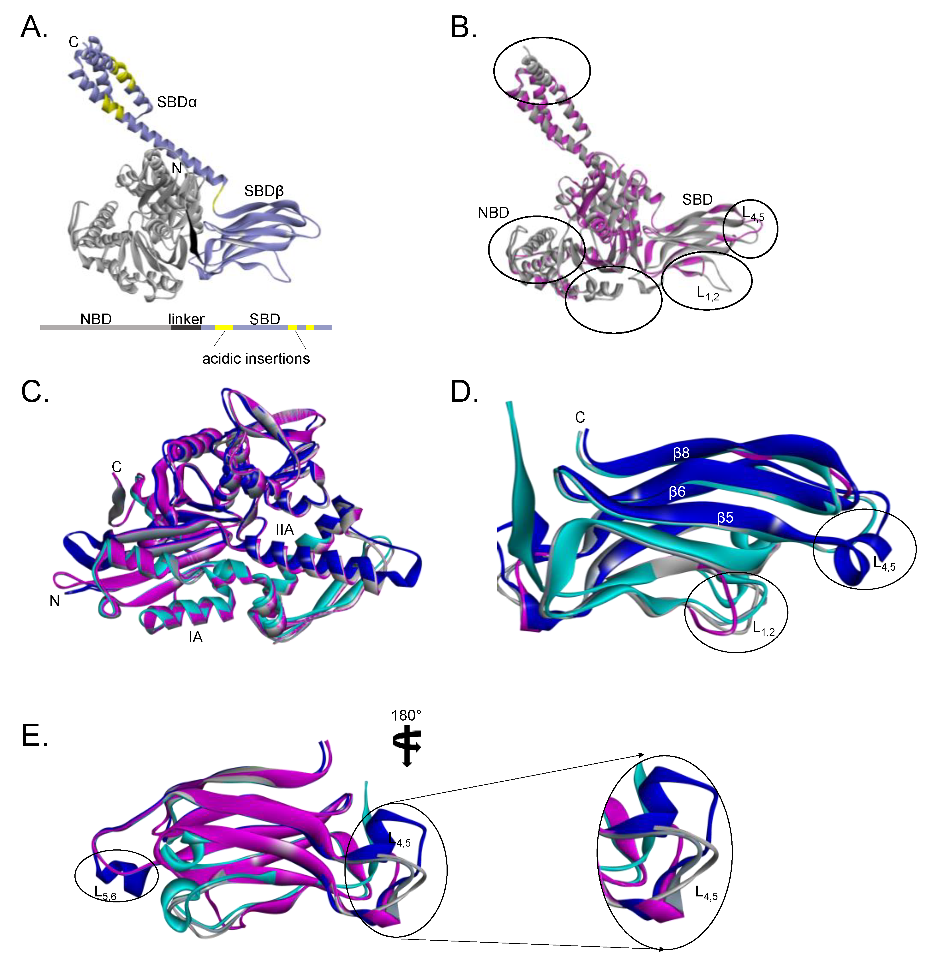 Cells 10 00254 g002 Cells 10 00254 g002