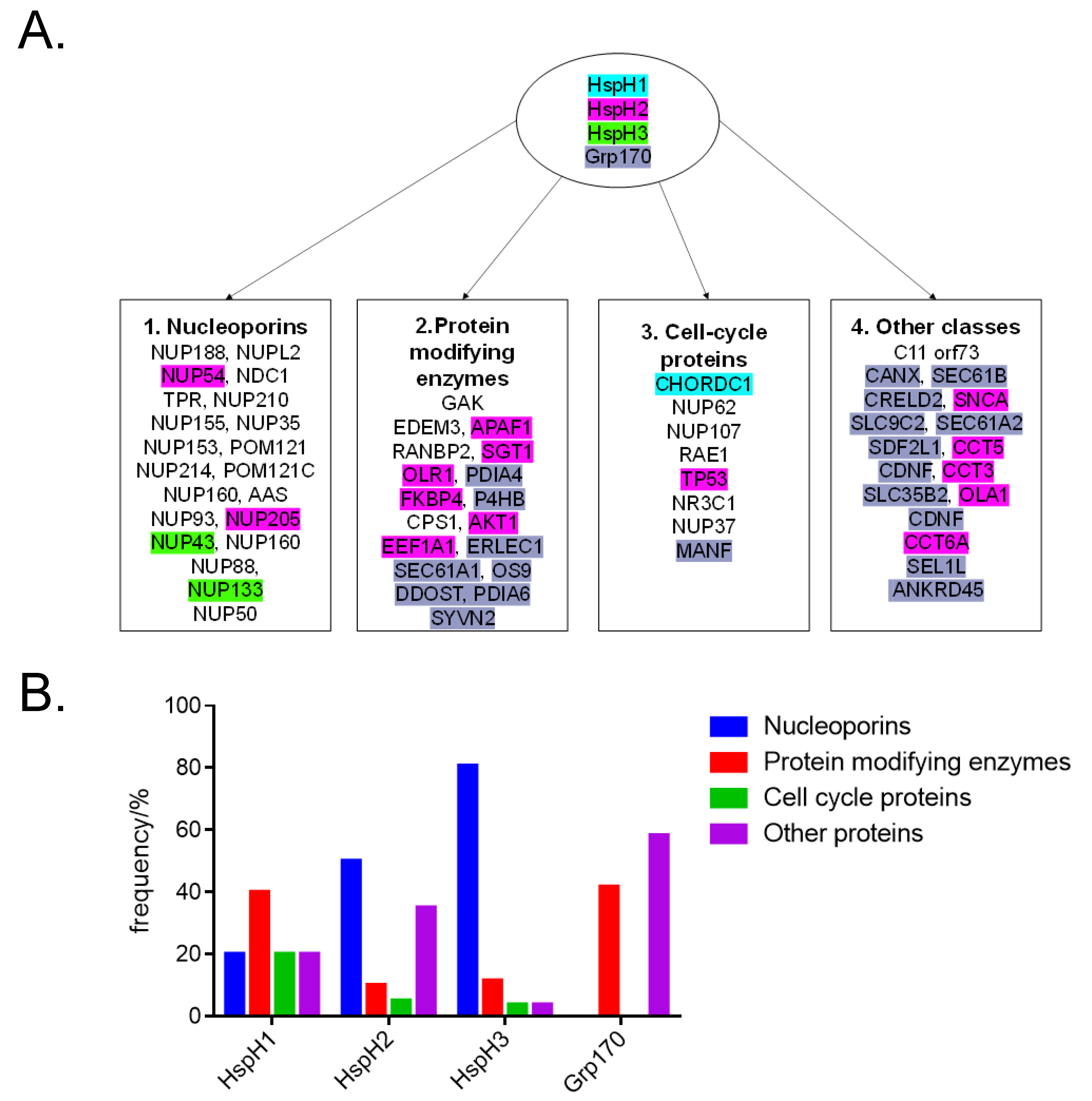 Cells 10 00254 g004 Cells 10 00254 g004