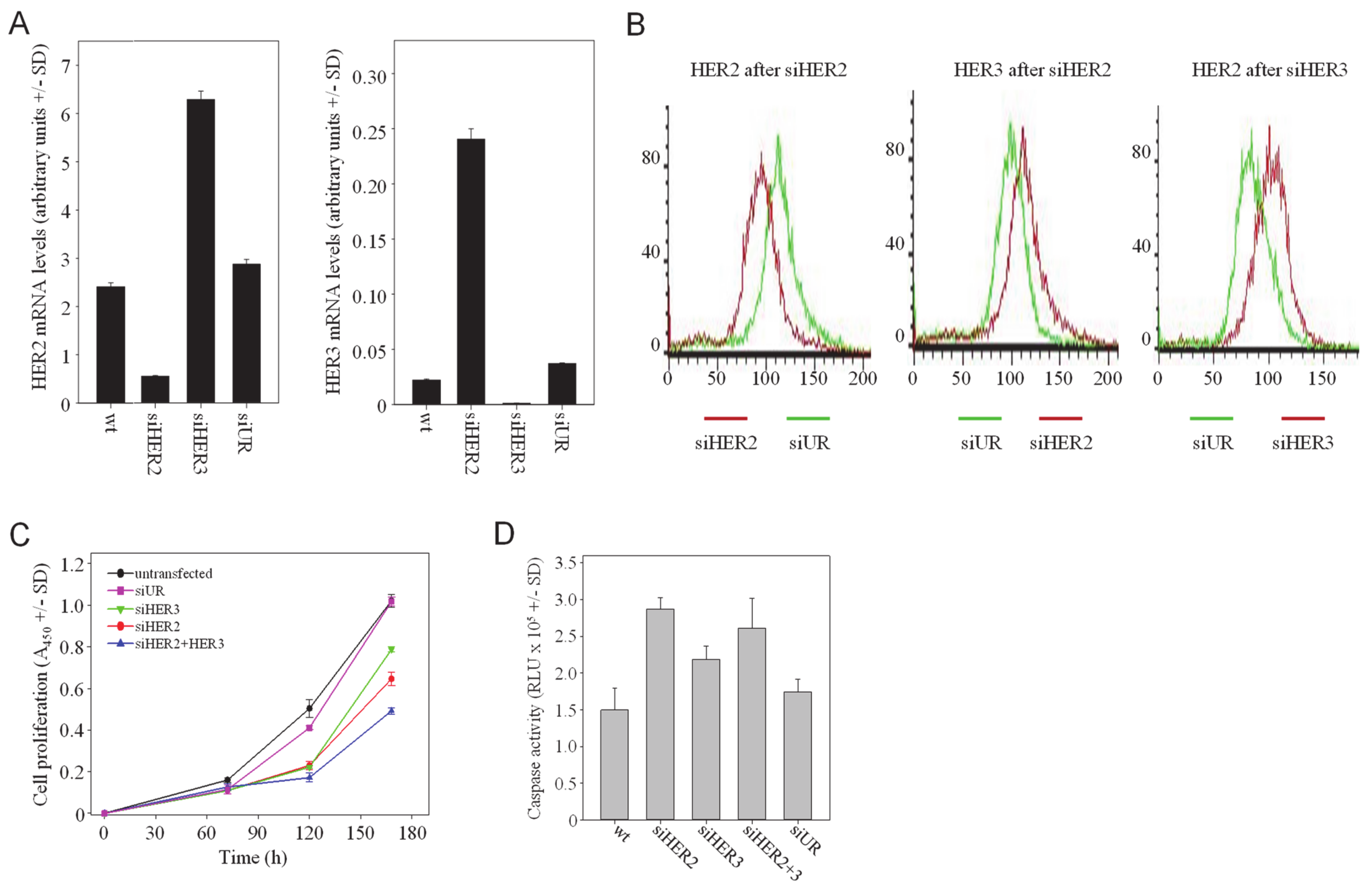 Cells 10 00272 g001 Cells 10 00272 g001