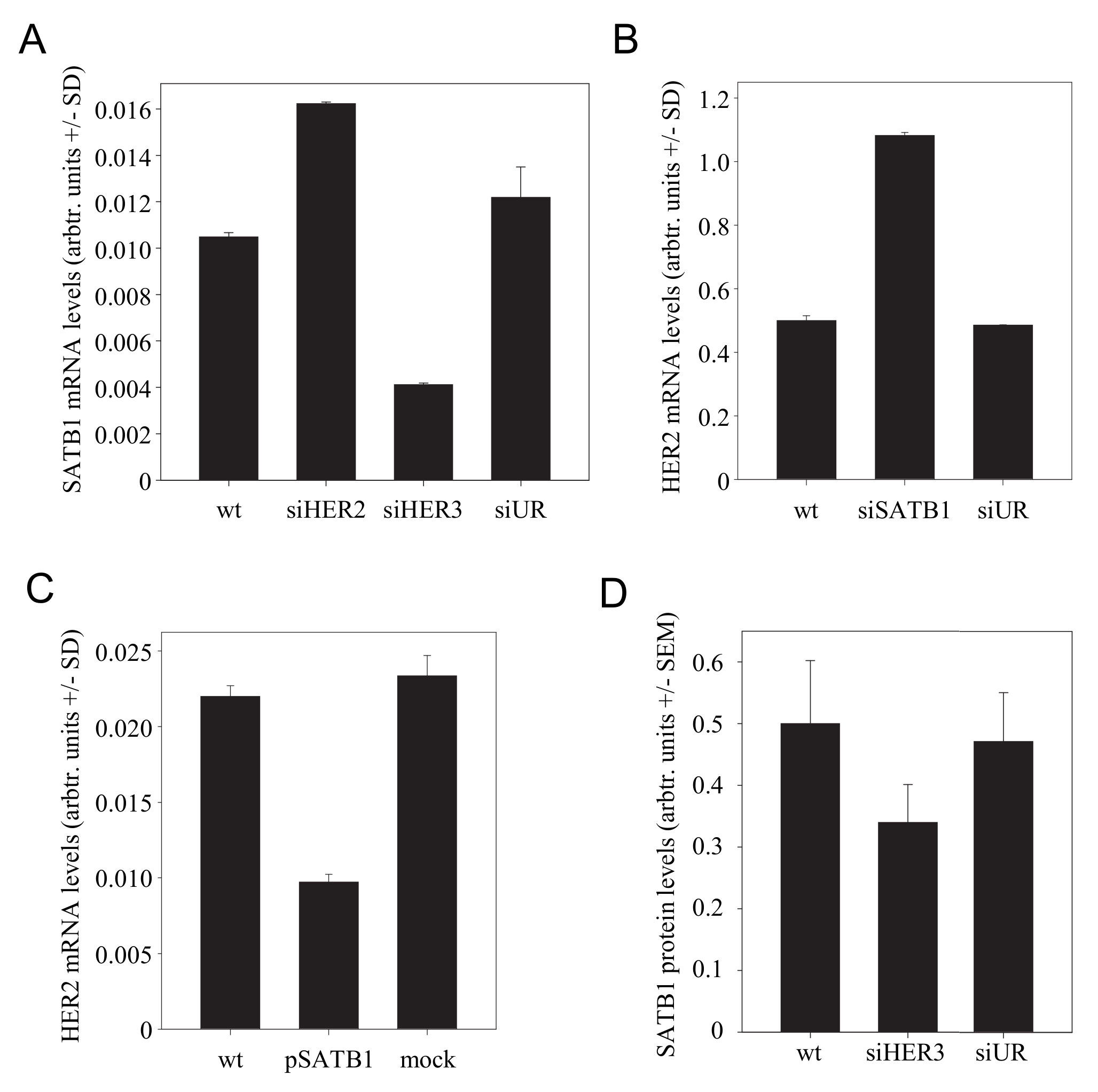 Cells 10 00272 g004 Cells 10 00272 g004
