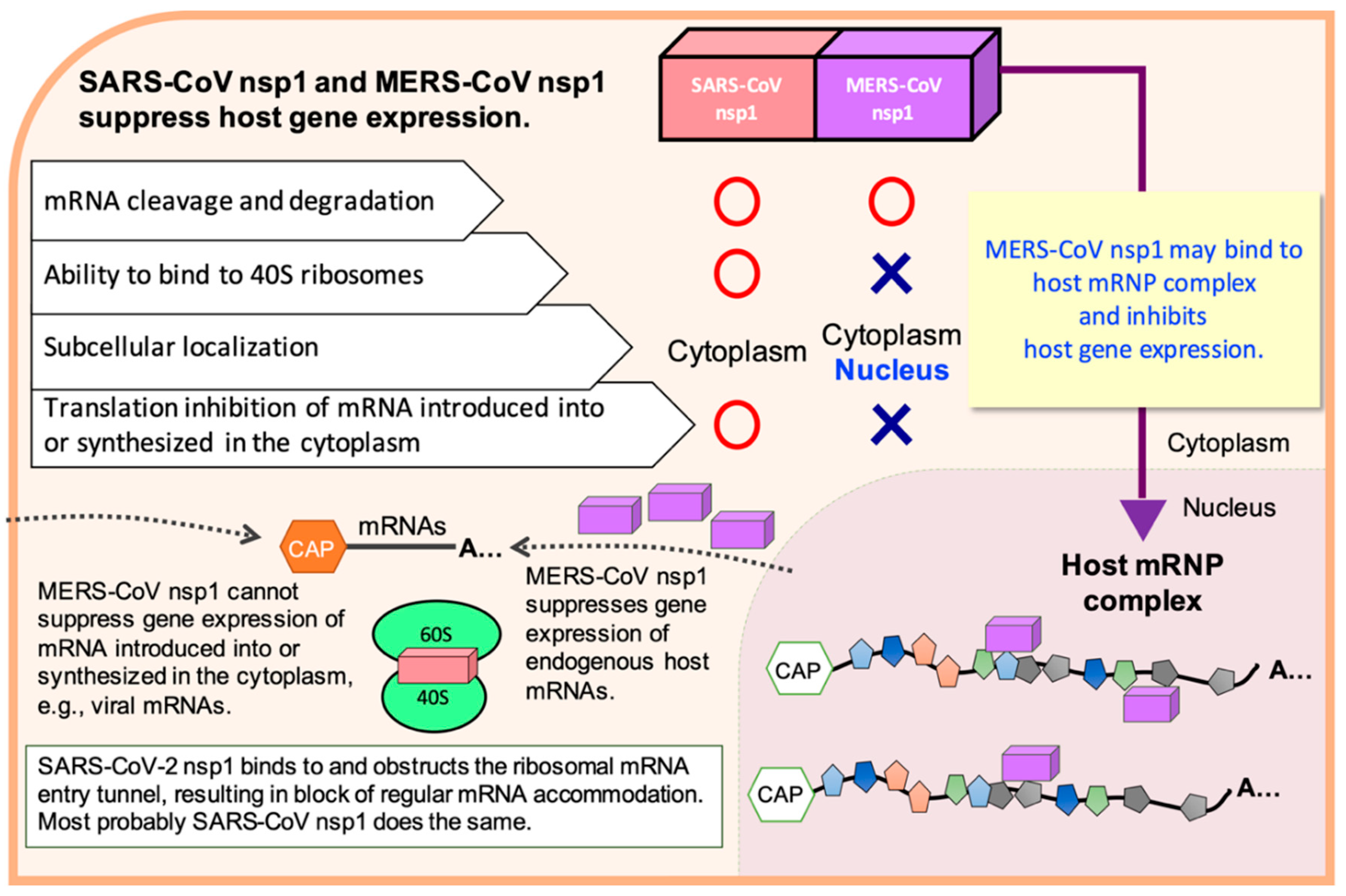 Cells 10 00300 g003 Cells 10 00300 g003