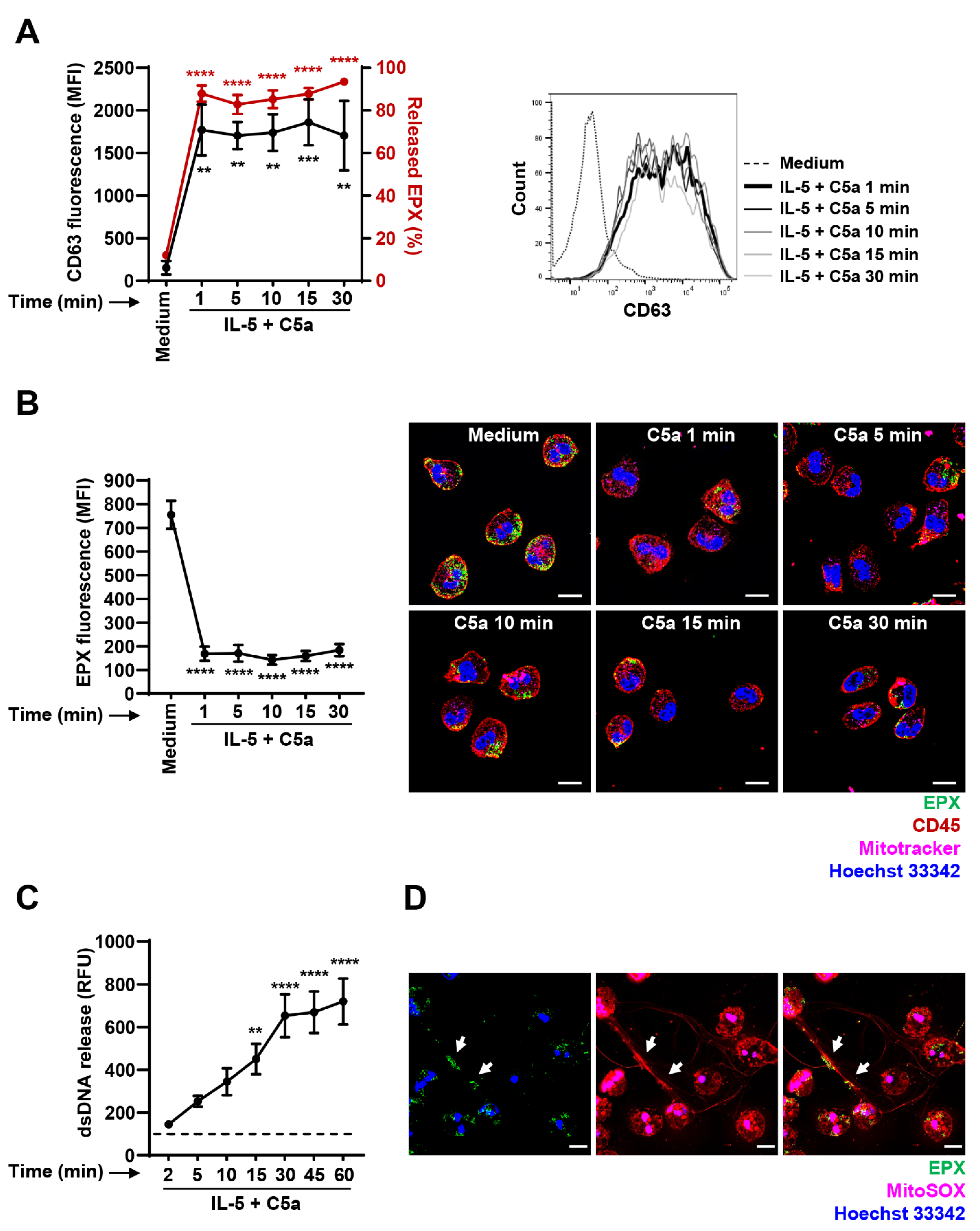 Cells 10 00306 g003 Cells 10 00306 g003
