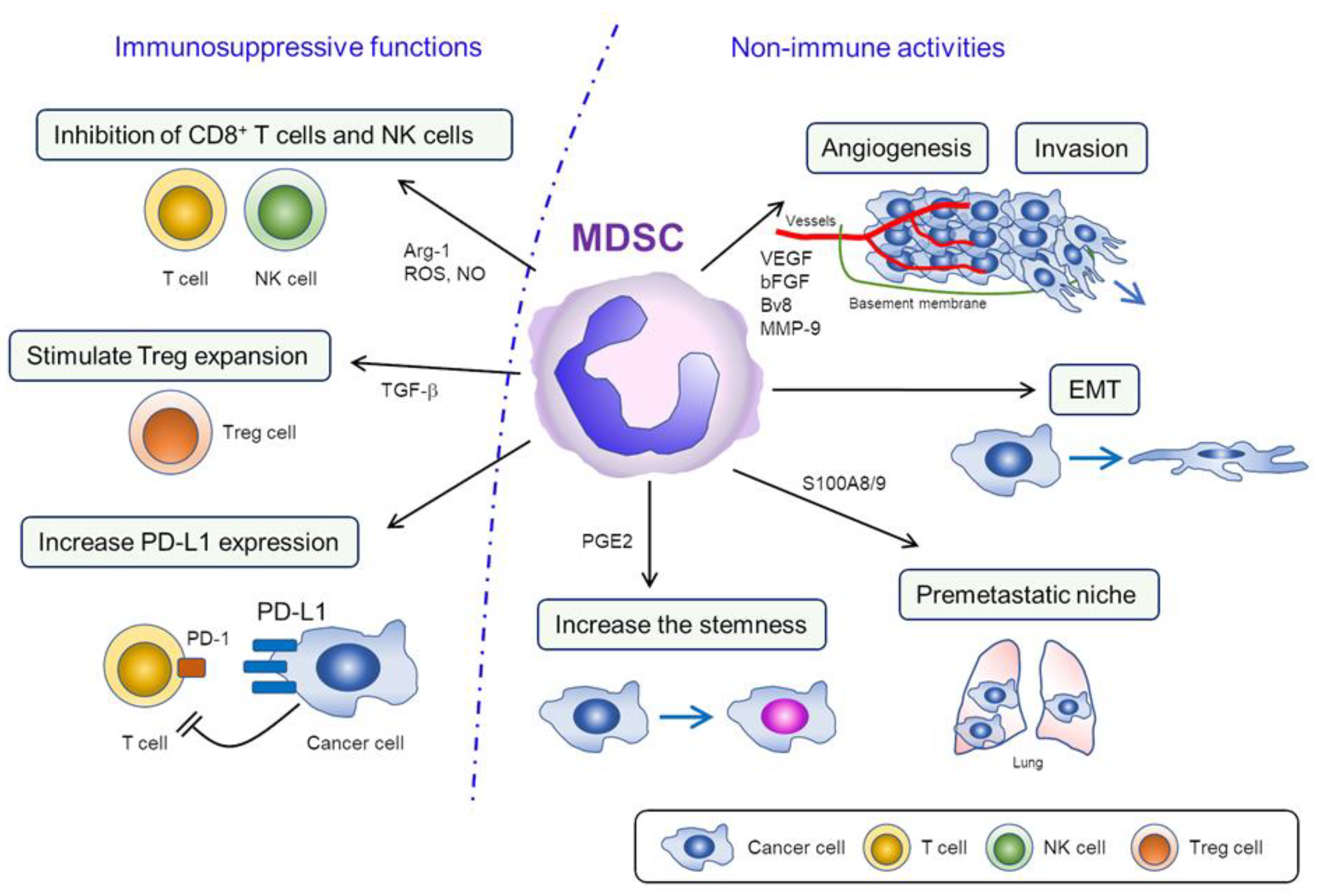 Cells 10 00329 g001