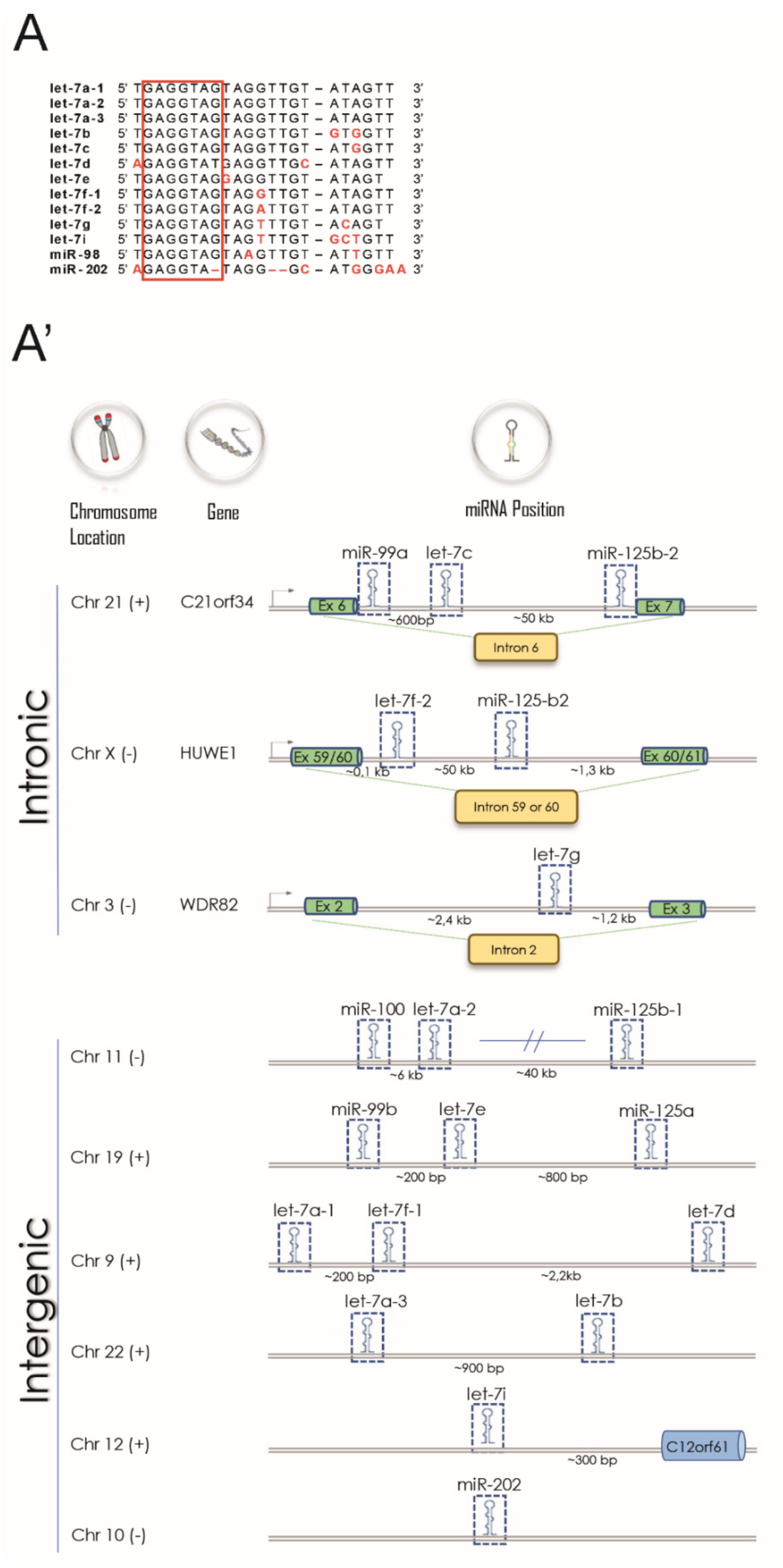 Cells 10 00330 g001a