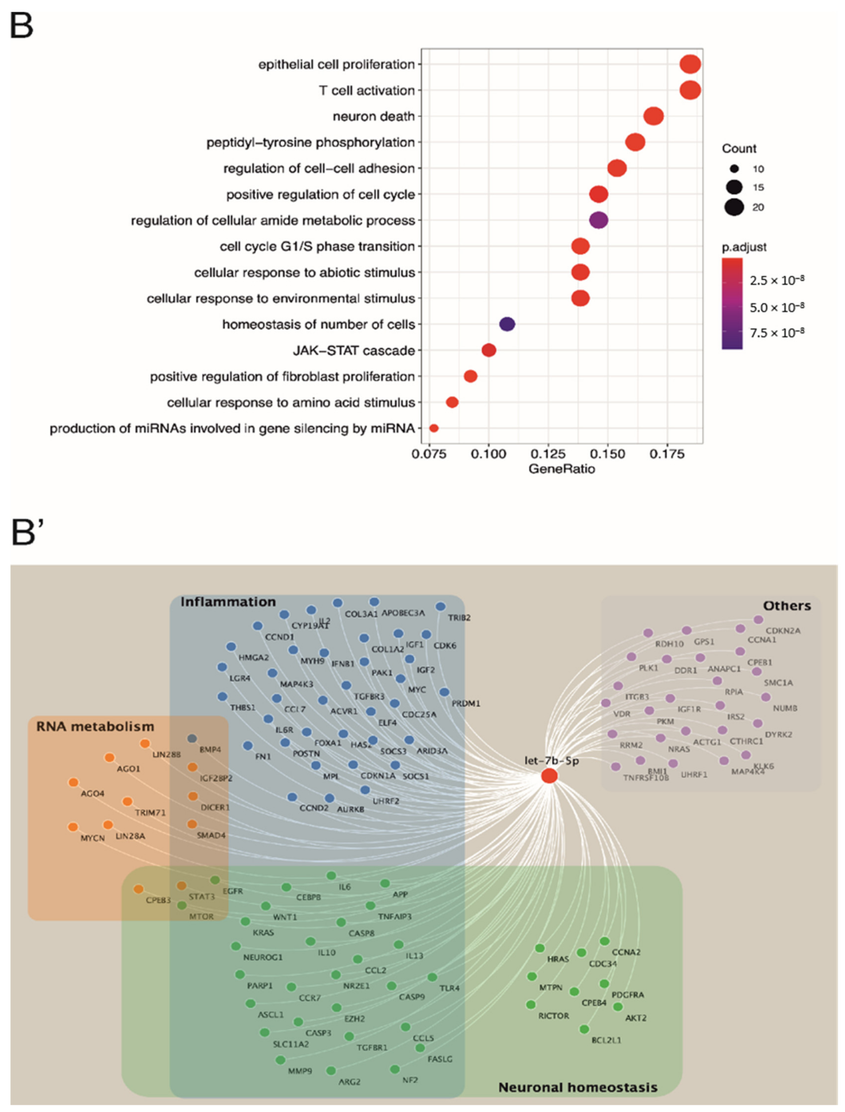 Cells 10 00330 g001b