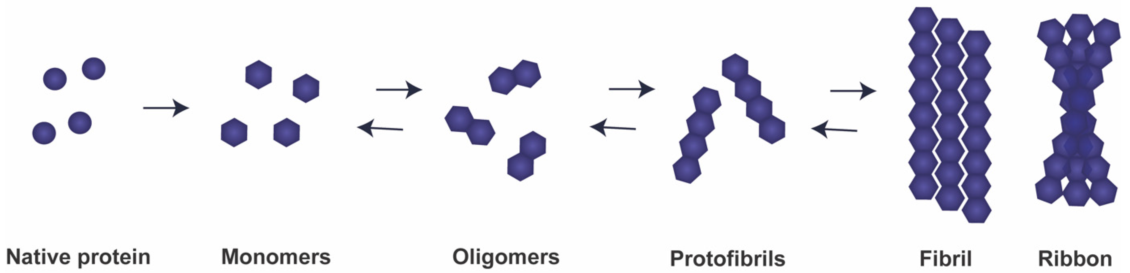 Cells 10 00375 g001 Cells 10 00375 g001