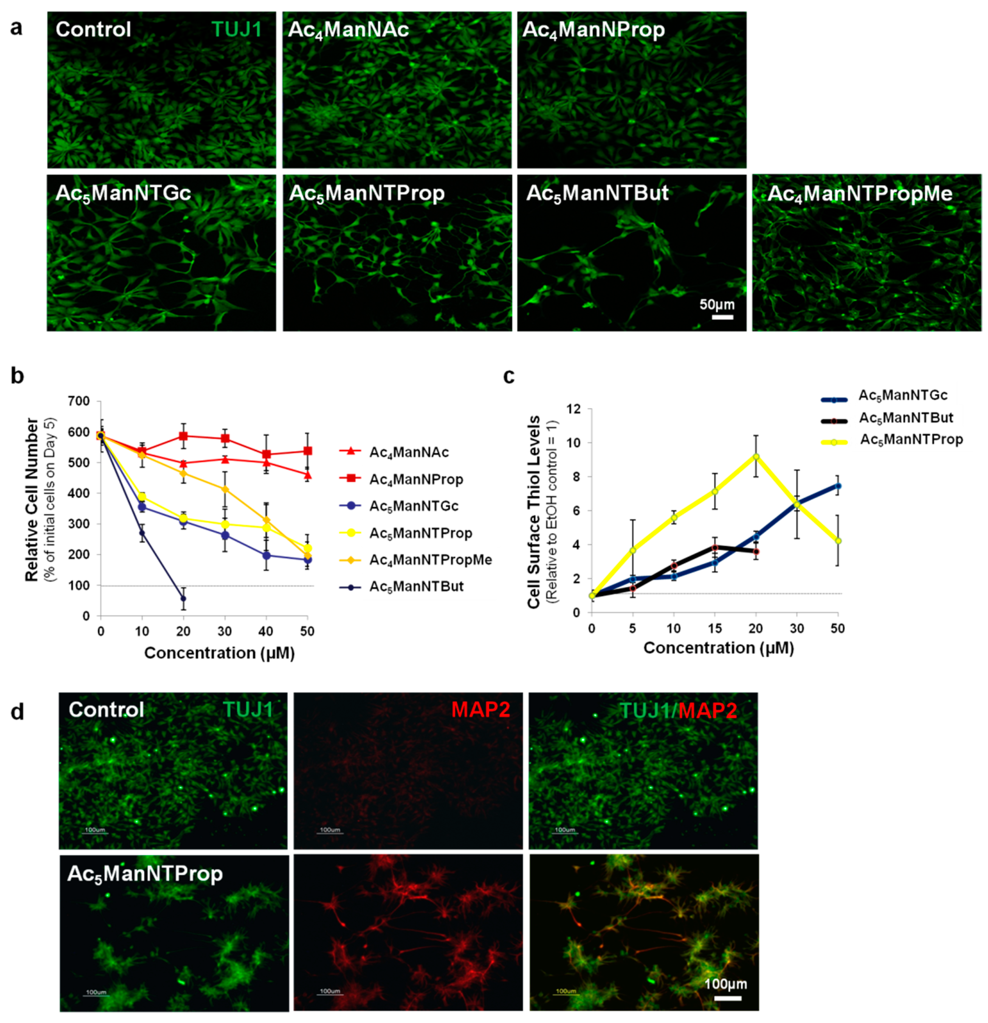 Cells 10 00377 g003