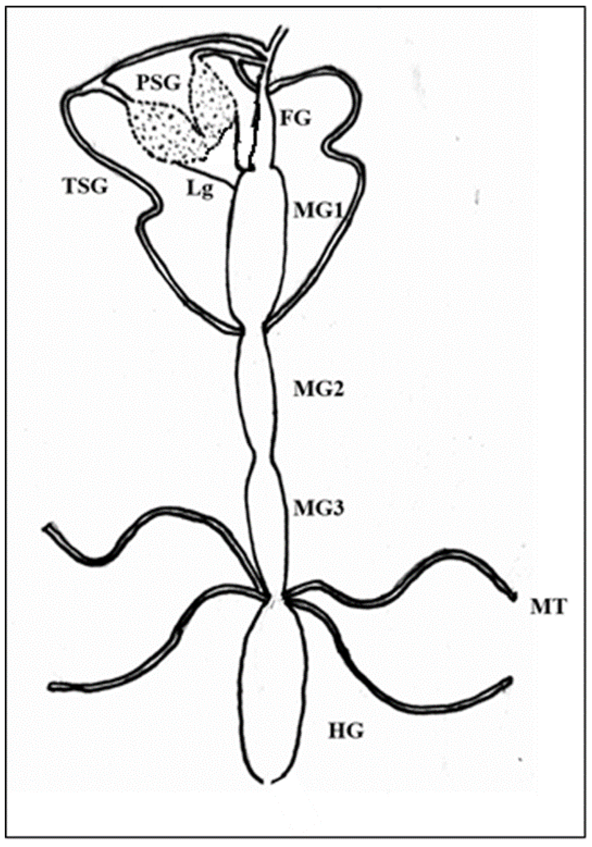 Cells 10 00392 g001 Cells 10 00392 g001
