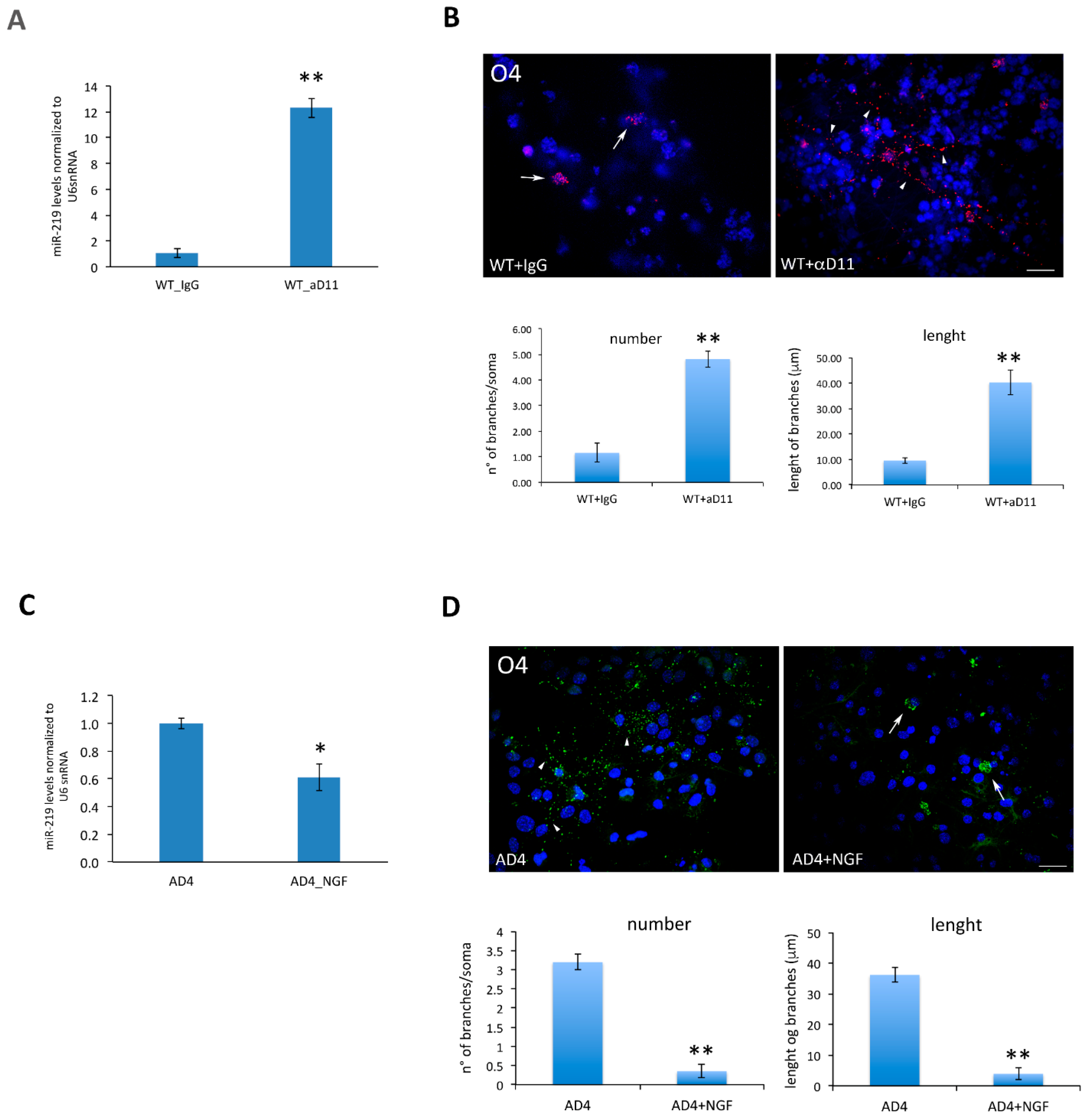 Cells 10 00405 g007 Cells 10 00405 g007