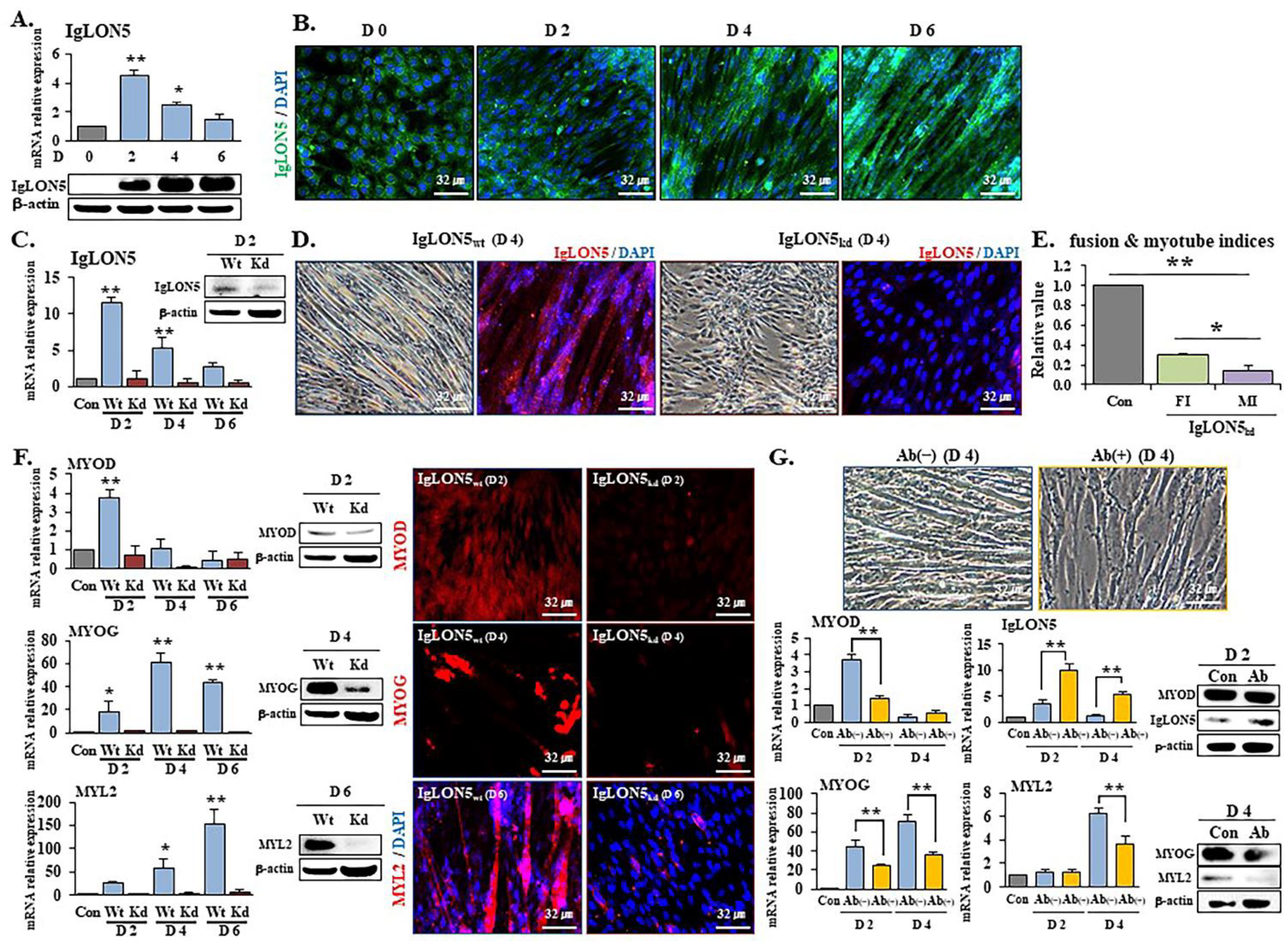 Cells 10 00417 g001 Cells 10 00417 g001