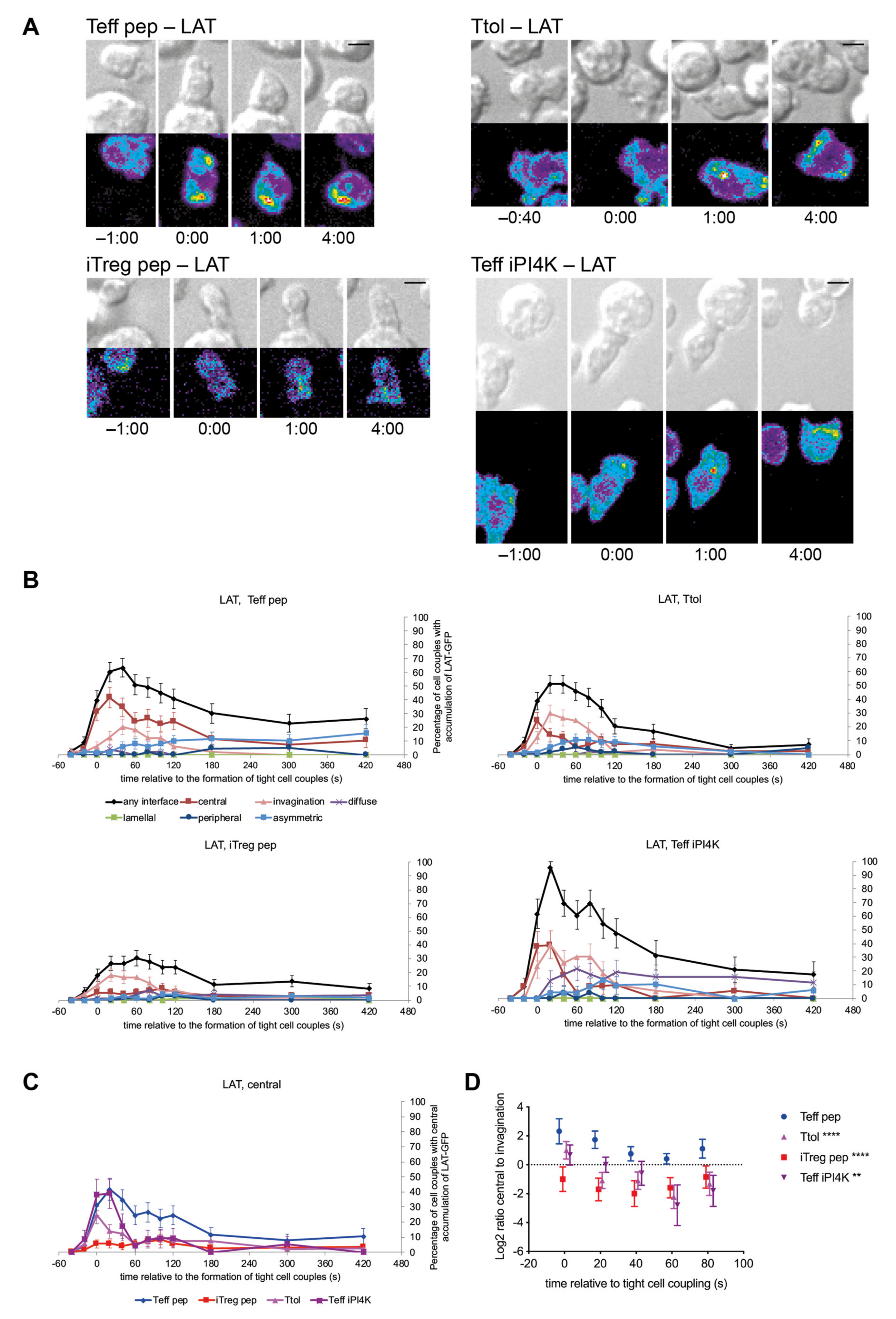 Cells 10 00418 g002 Cells 10 00418 g002