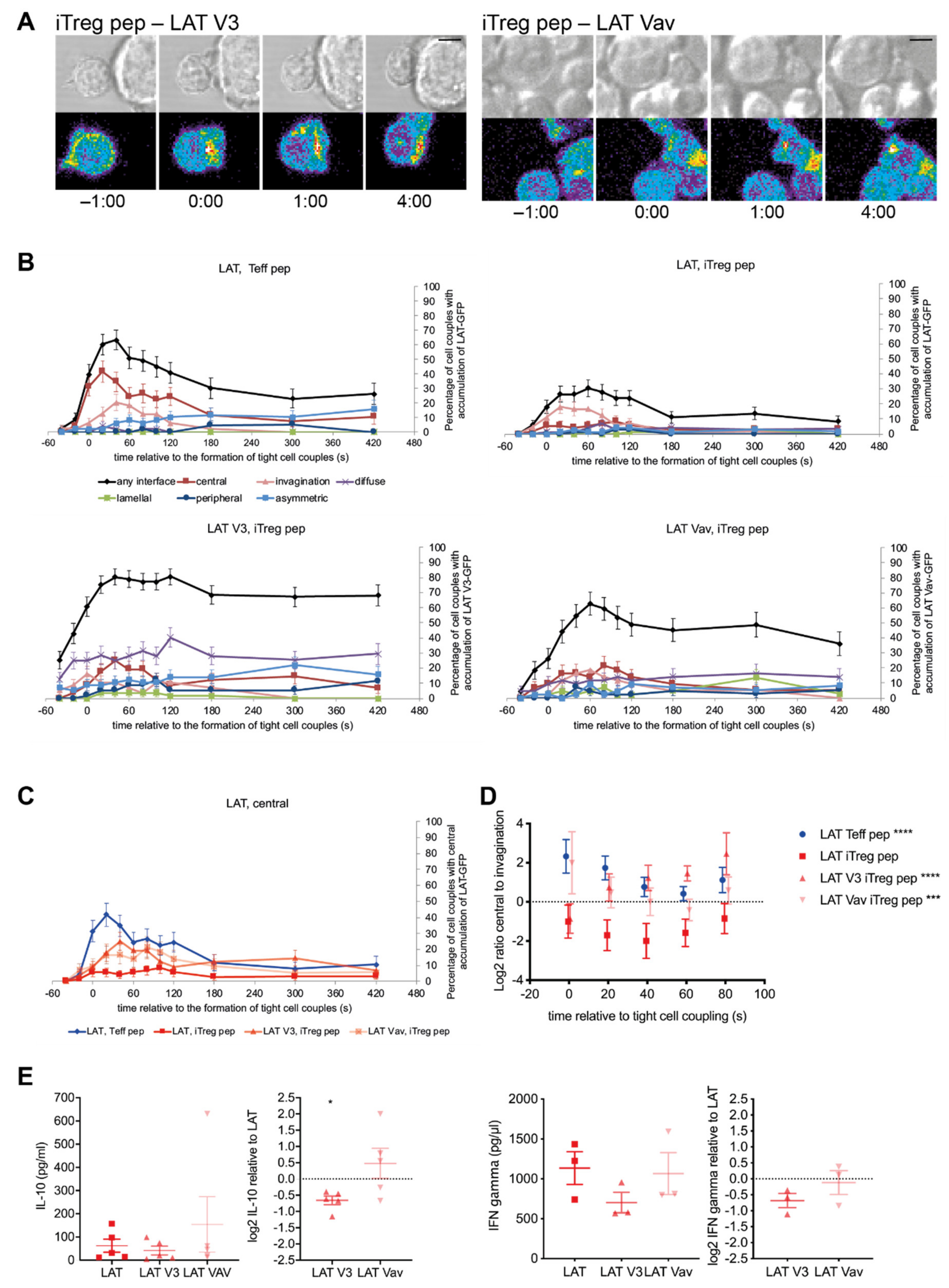Cells 10 00418 g006 Cells 10 00418 g006
