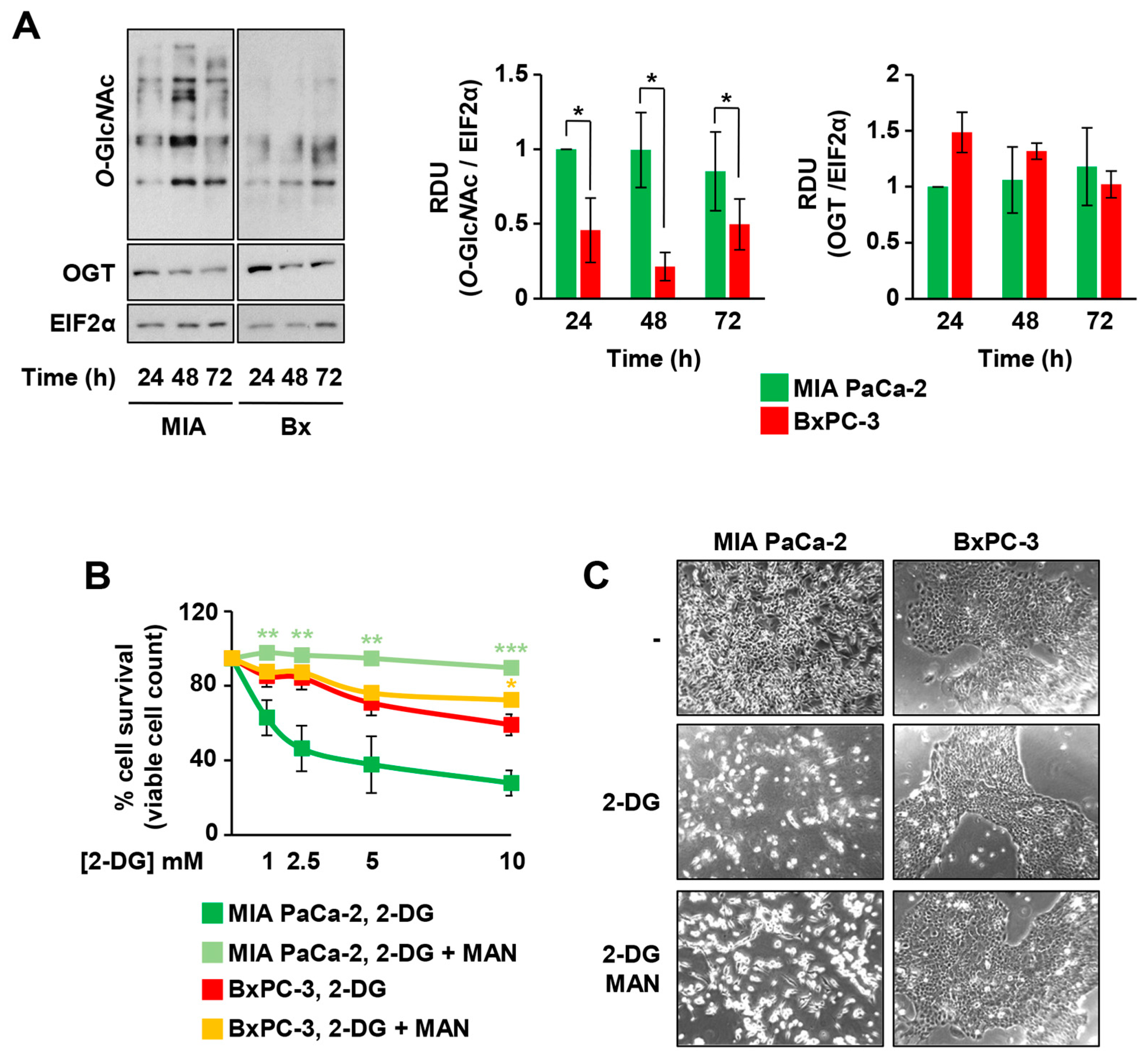 Cells 10 00431 g002