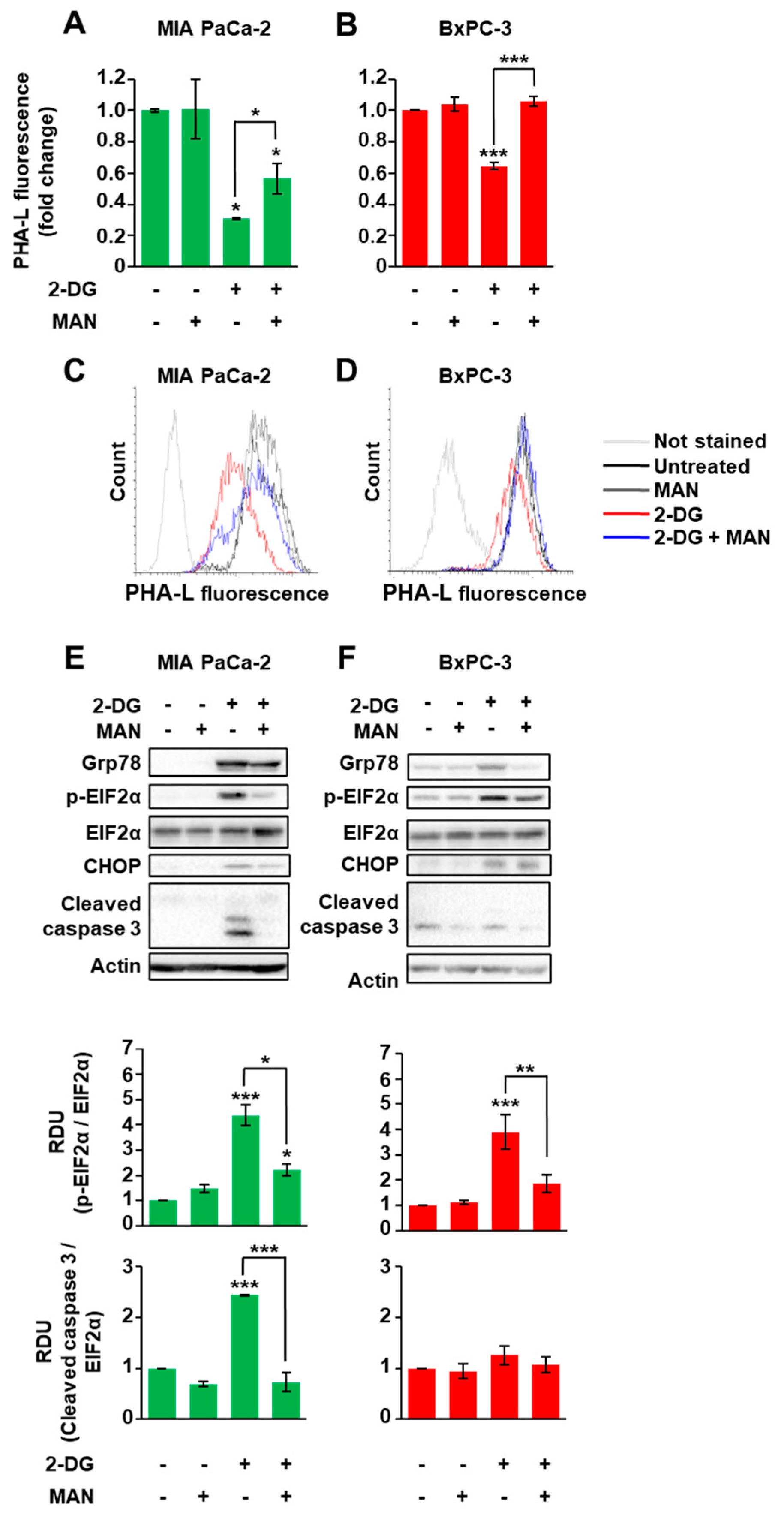 Cells 10 00431 g003