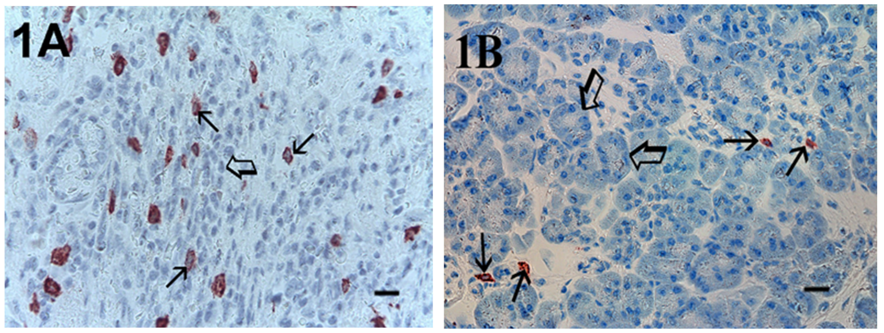 Cells 10 00444 g001 Cells 10 00444 g001