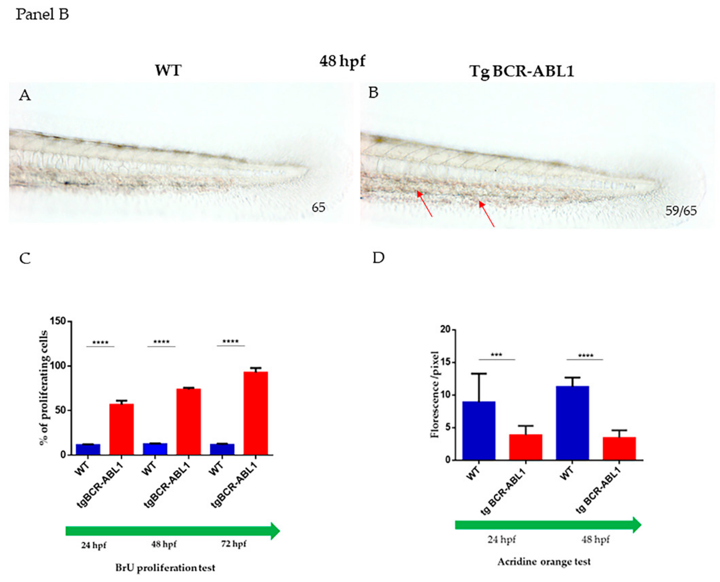 Cells 10 00445 g002b