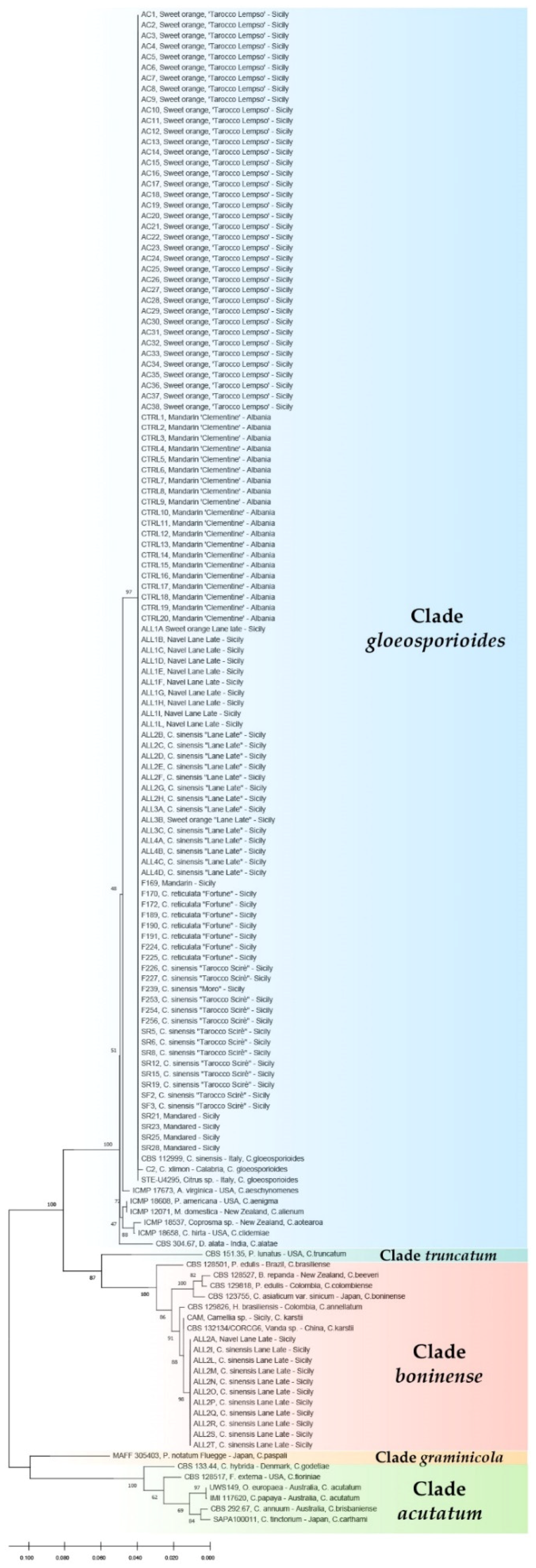 Cells 10 00449 g003 Cells 10 00449 g003