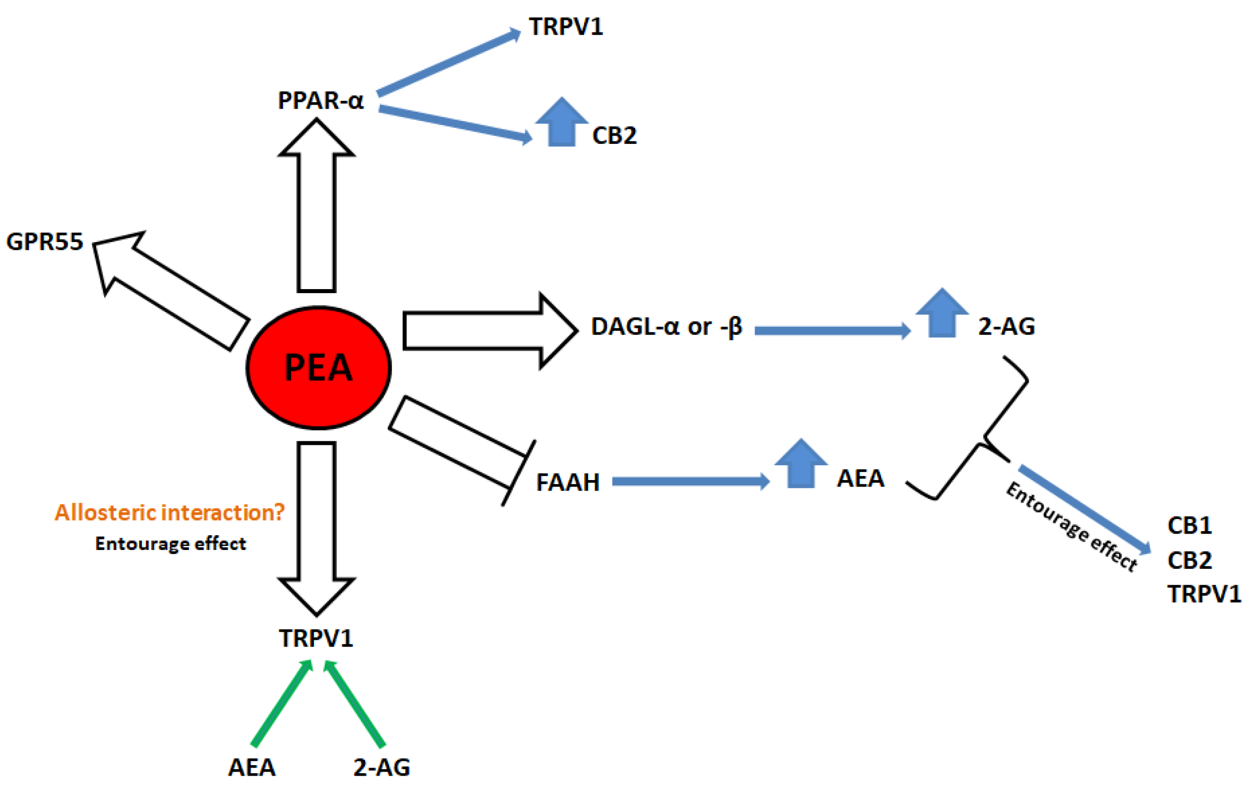 Cells 10 00450 sch001 Cells 10 00450 sch001