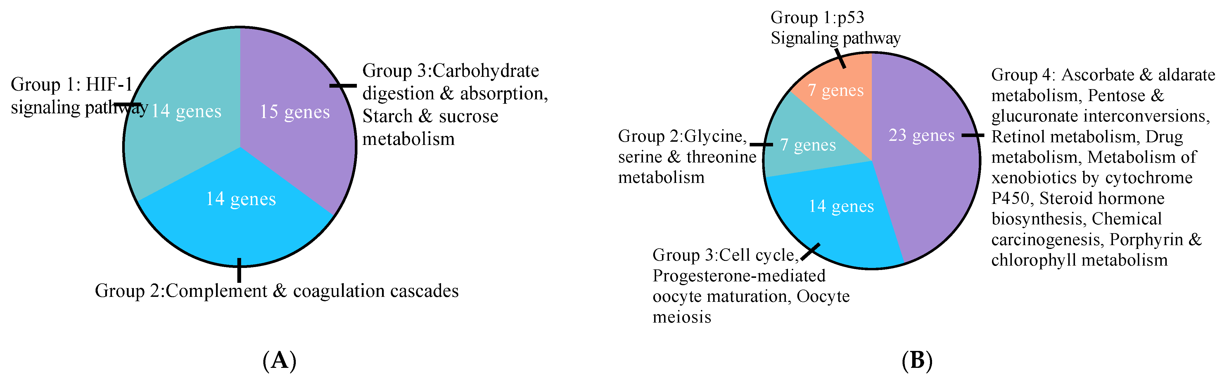 Cells 10 00455 g002a