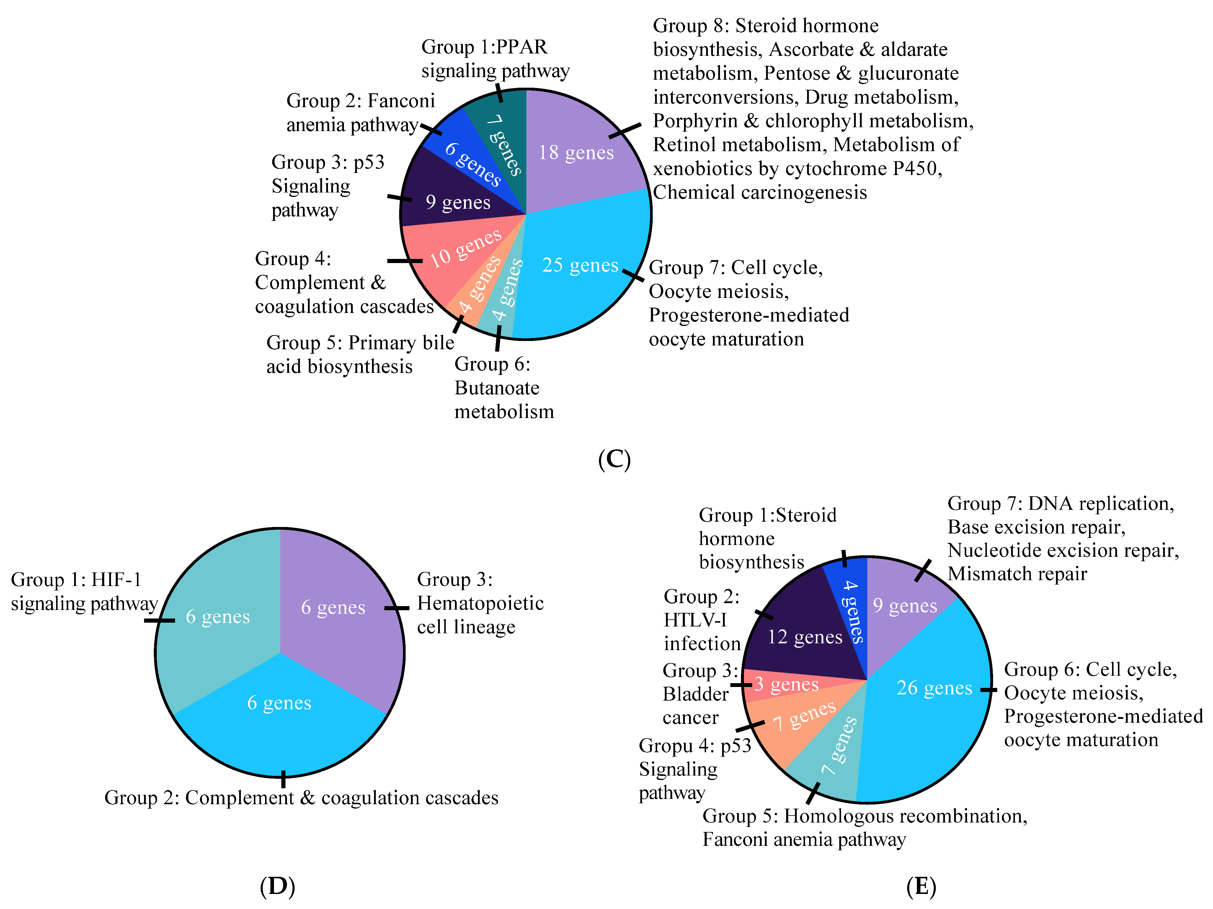 Cells 10 00455 g002b
