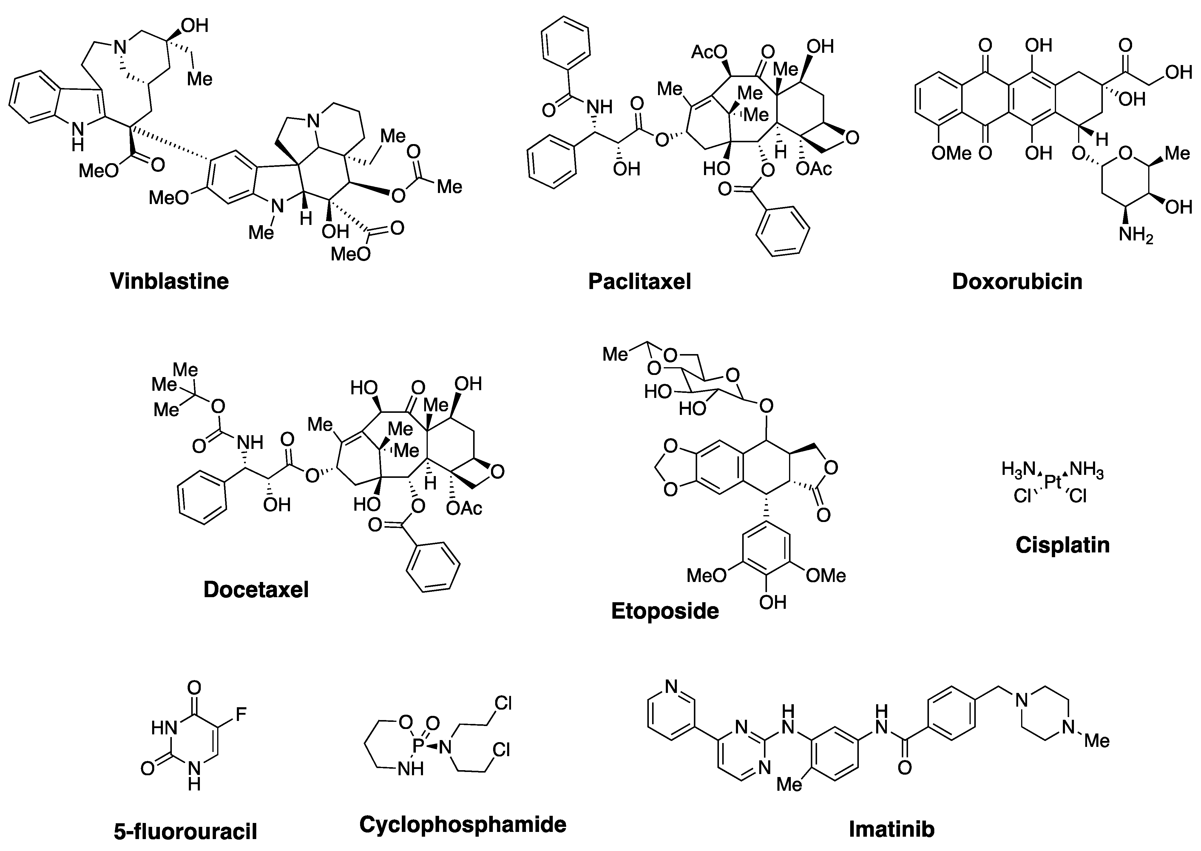 Cells 10 00458 g001 Cells 10 00458 g001