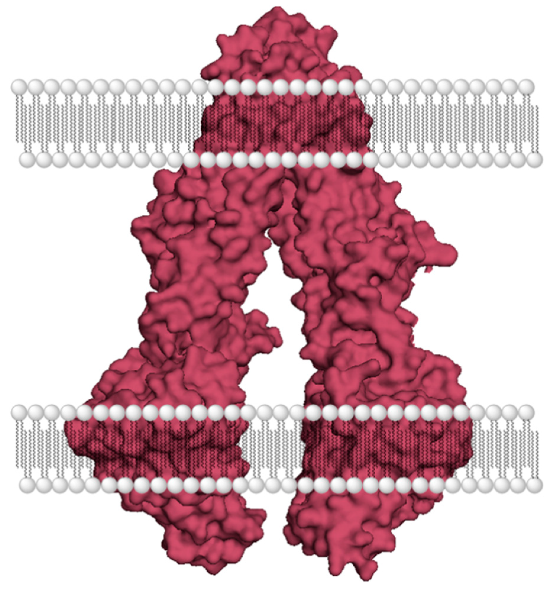 Cells 10 00458 g002 Cells 10 00458 g002