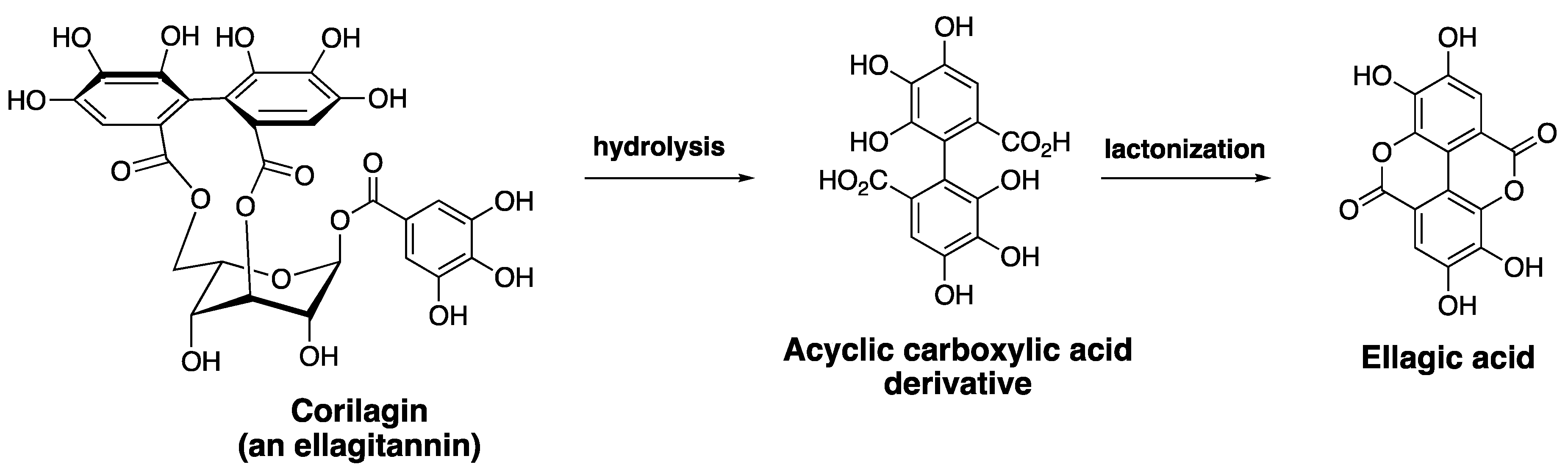 Cells 10 00458 g005 Cells 10 00458 g005