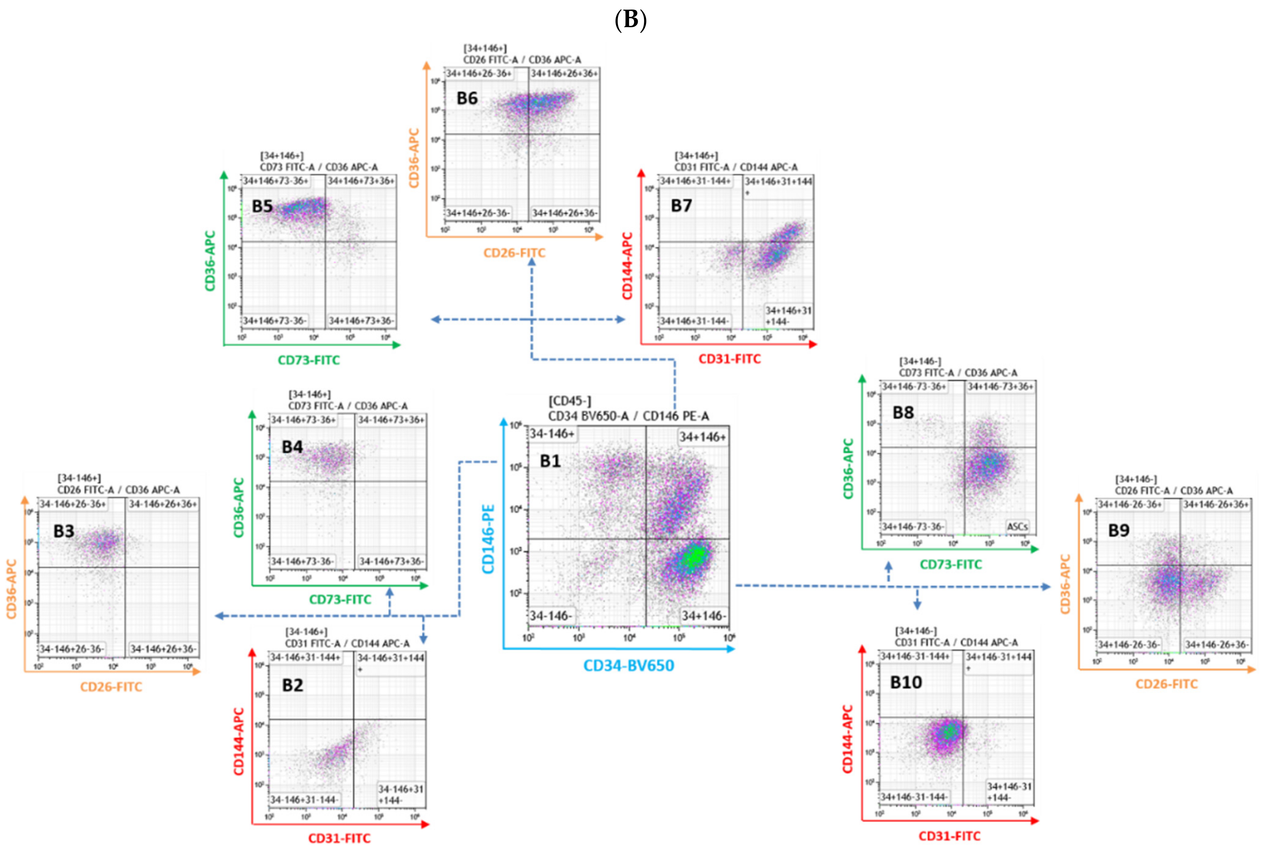 Cells 10 00466 g001b Cells 10 00466 g001b