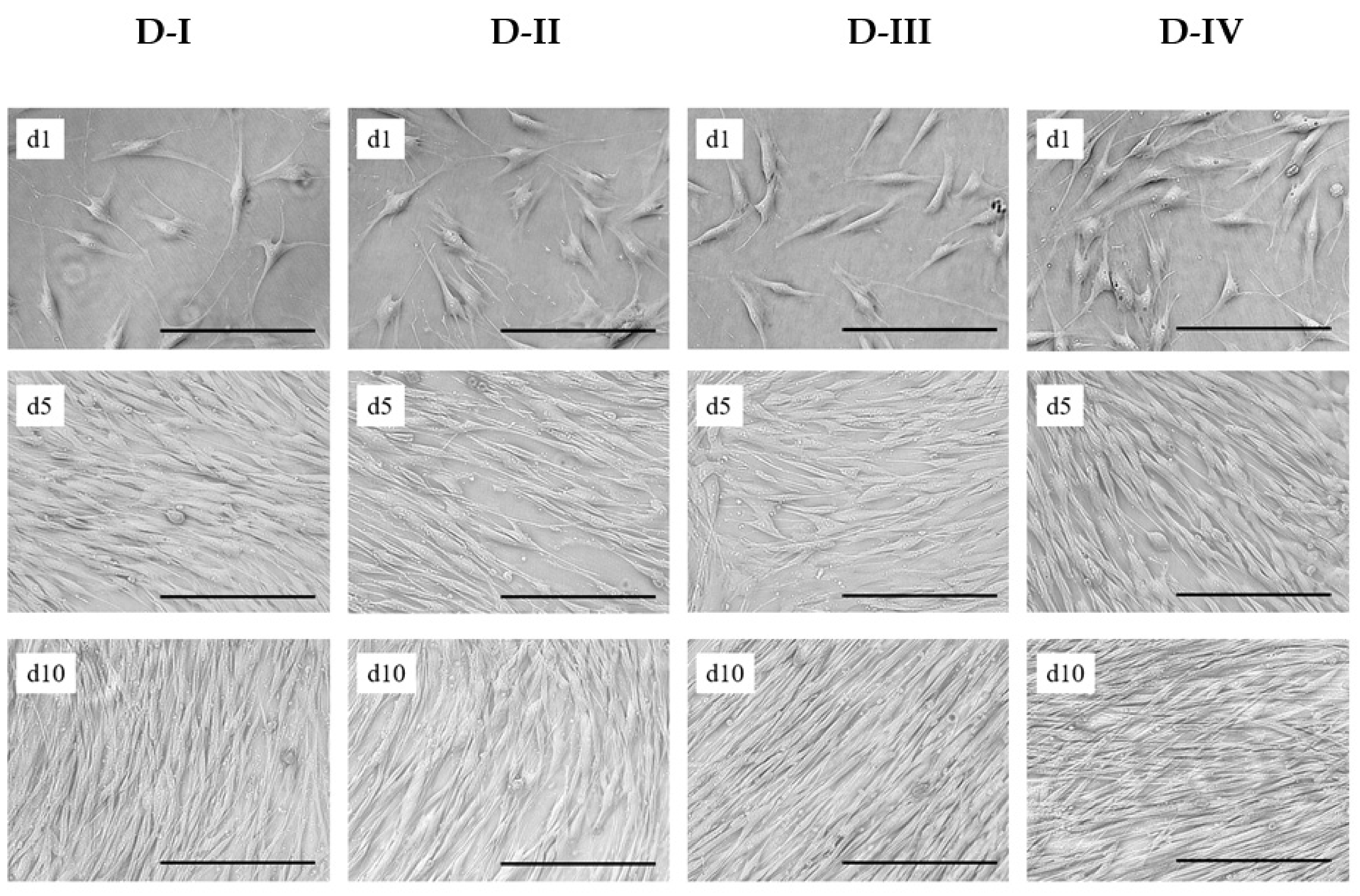 Cells 10 00466 g003 Cells 10 00466 g003