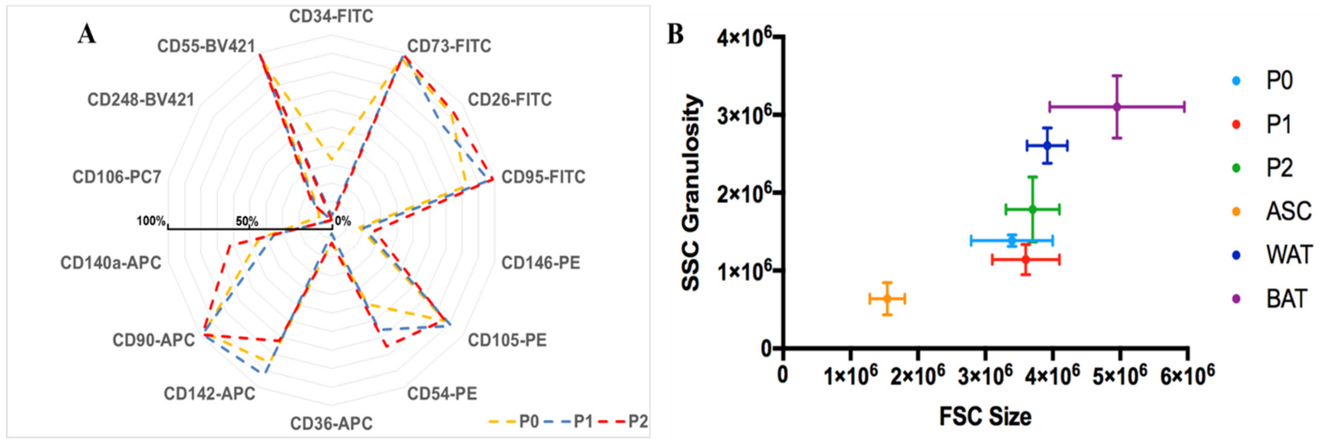 Cells 10 00466 g005 Cells 10 00466 g005