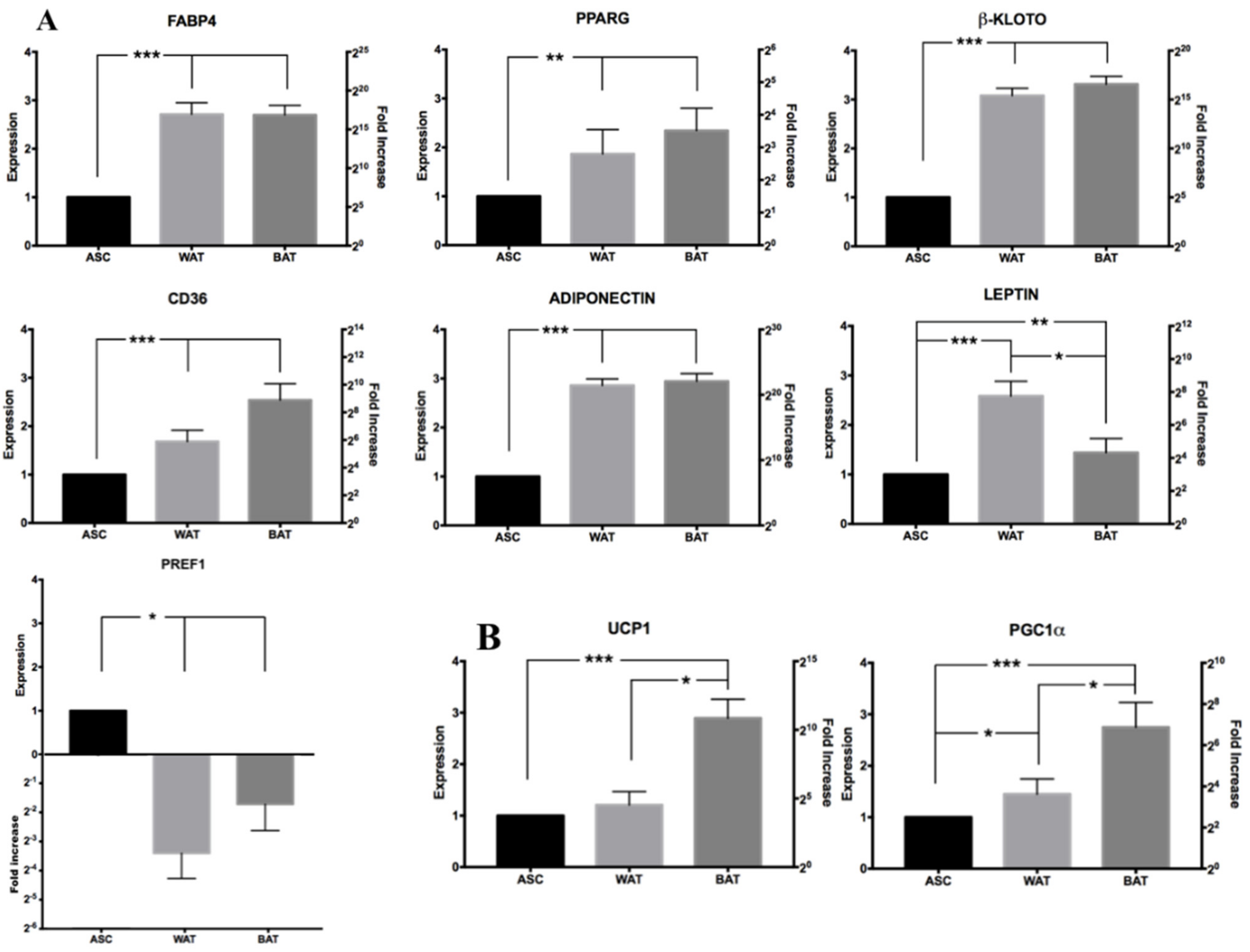 Cells 10 00466 g009 Cells 10 00466 g009