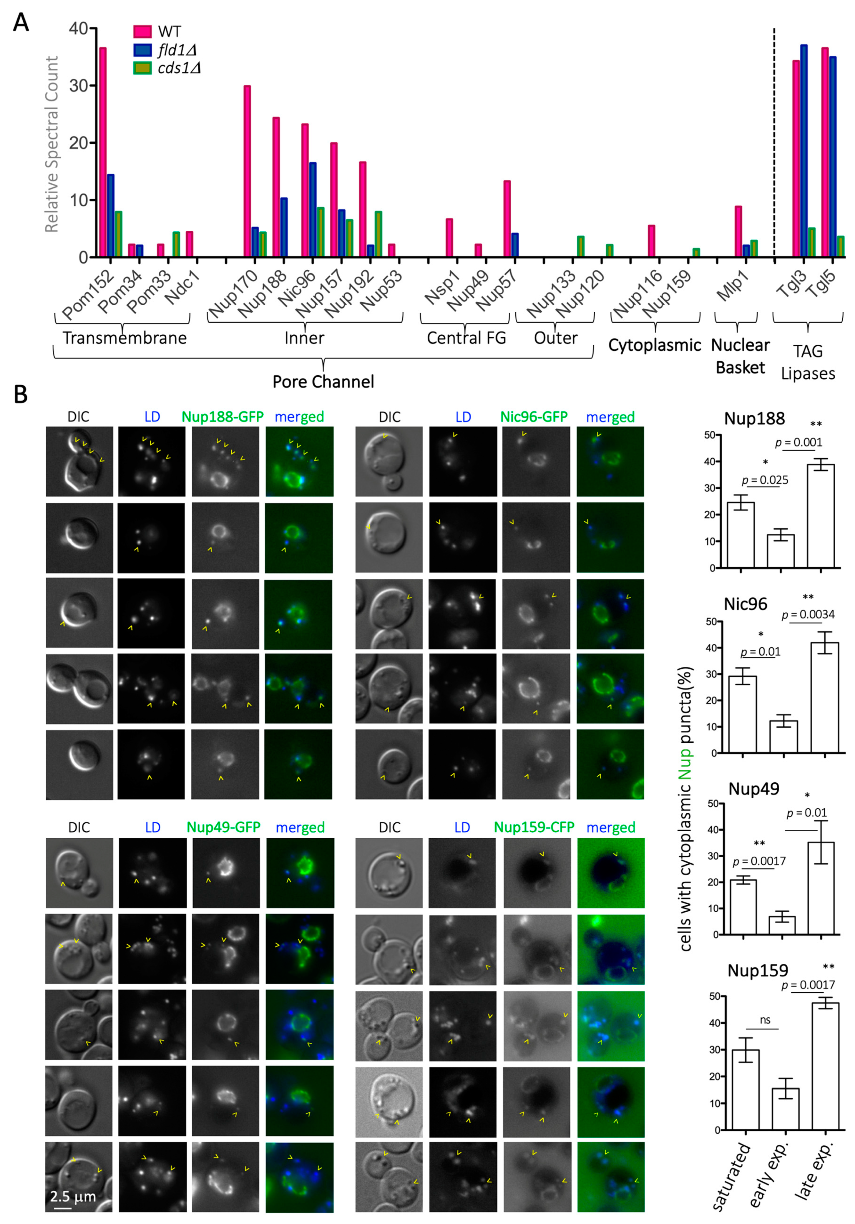 Cells 10 00472 g001 Cells 10 00472 g001