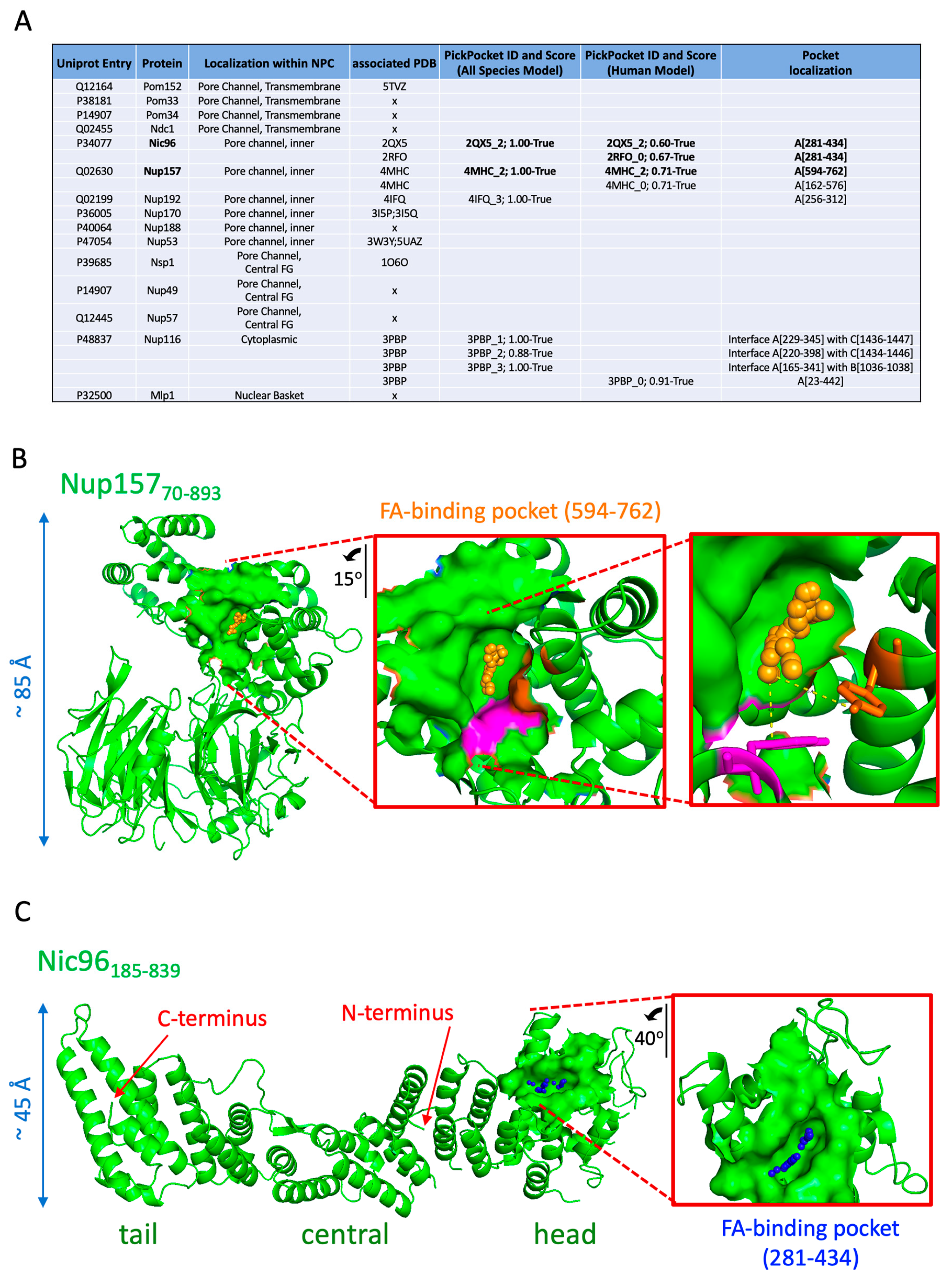 Cells 10 00472 g008 Cells 10 00472 g008