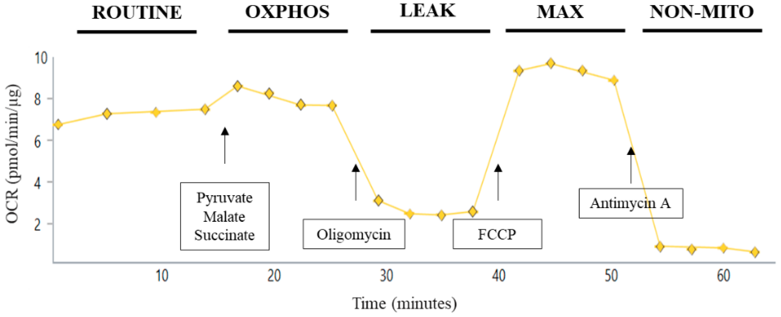 Cells 10 00500 g001 Cells 10 00500 g001