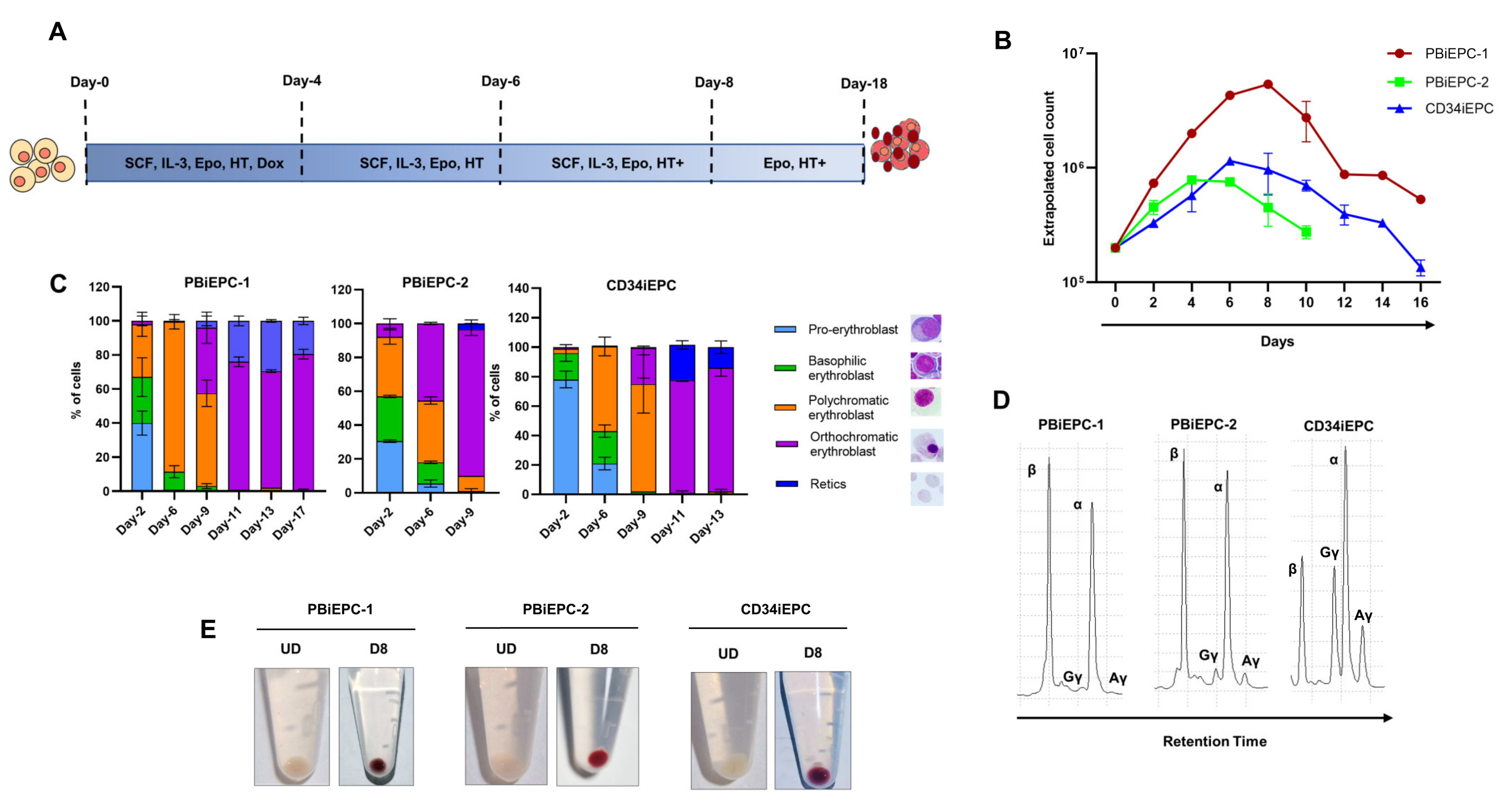 Cells 10 00523 g003 Cells 10 00523 g003