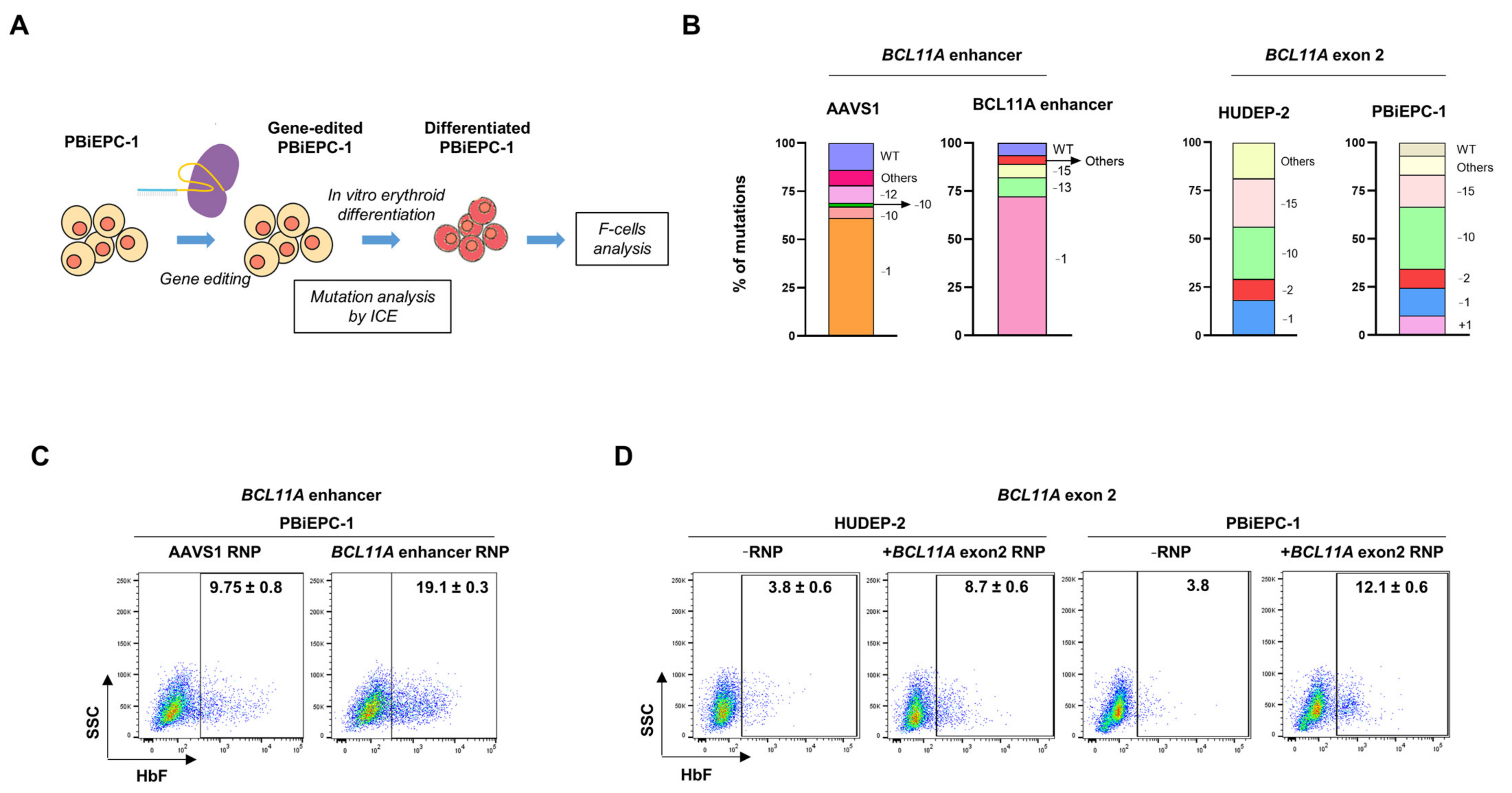 Cells 10 00523 g005 Cells 10 00523 g005