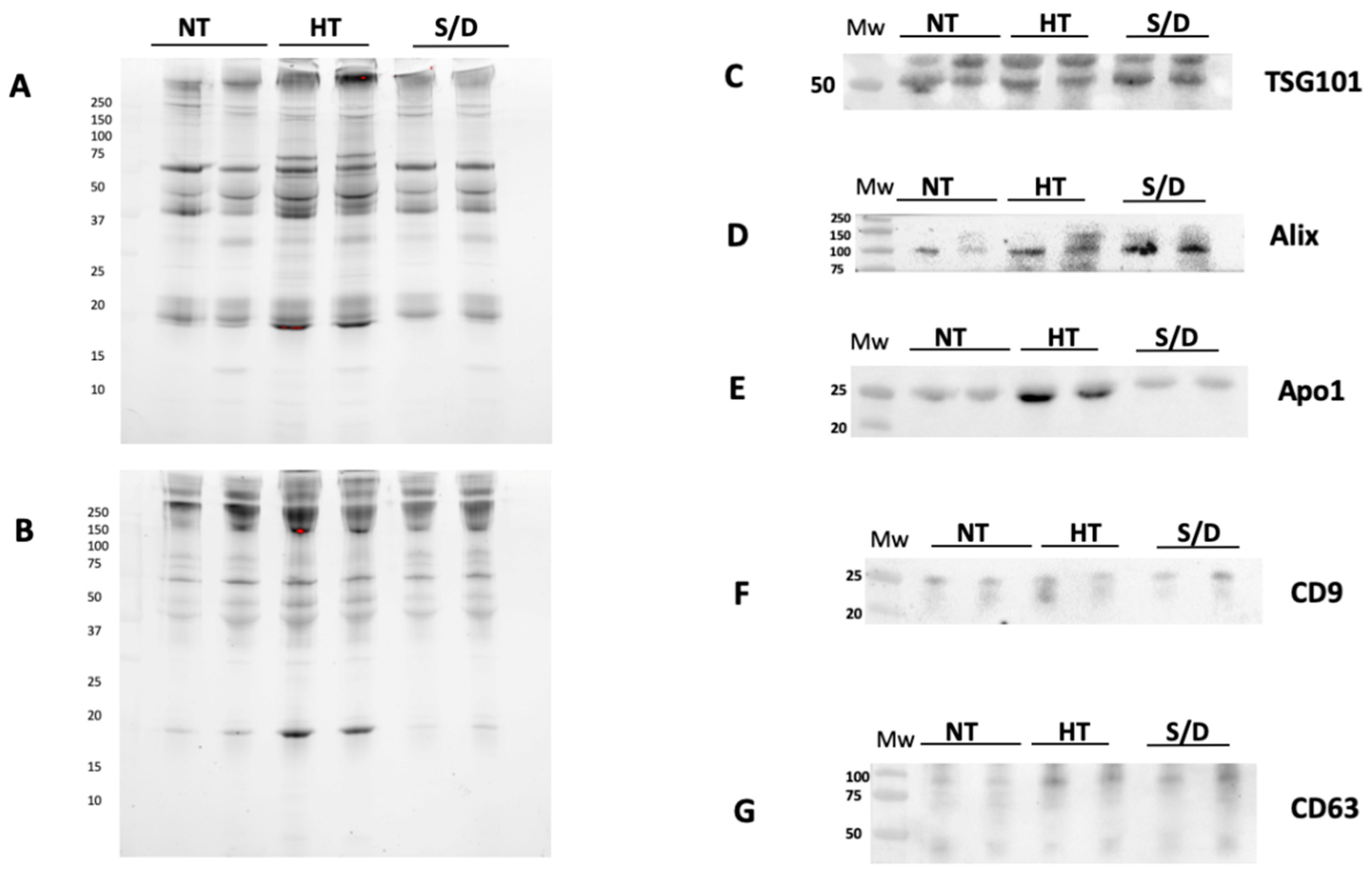 Cells 10 00544 g002 Cells 10 00544 g002
