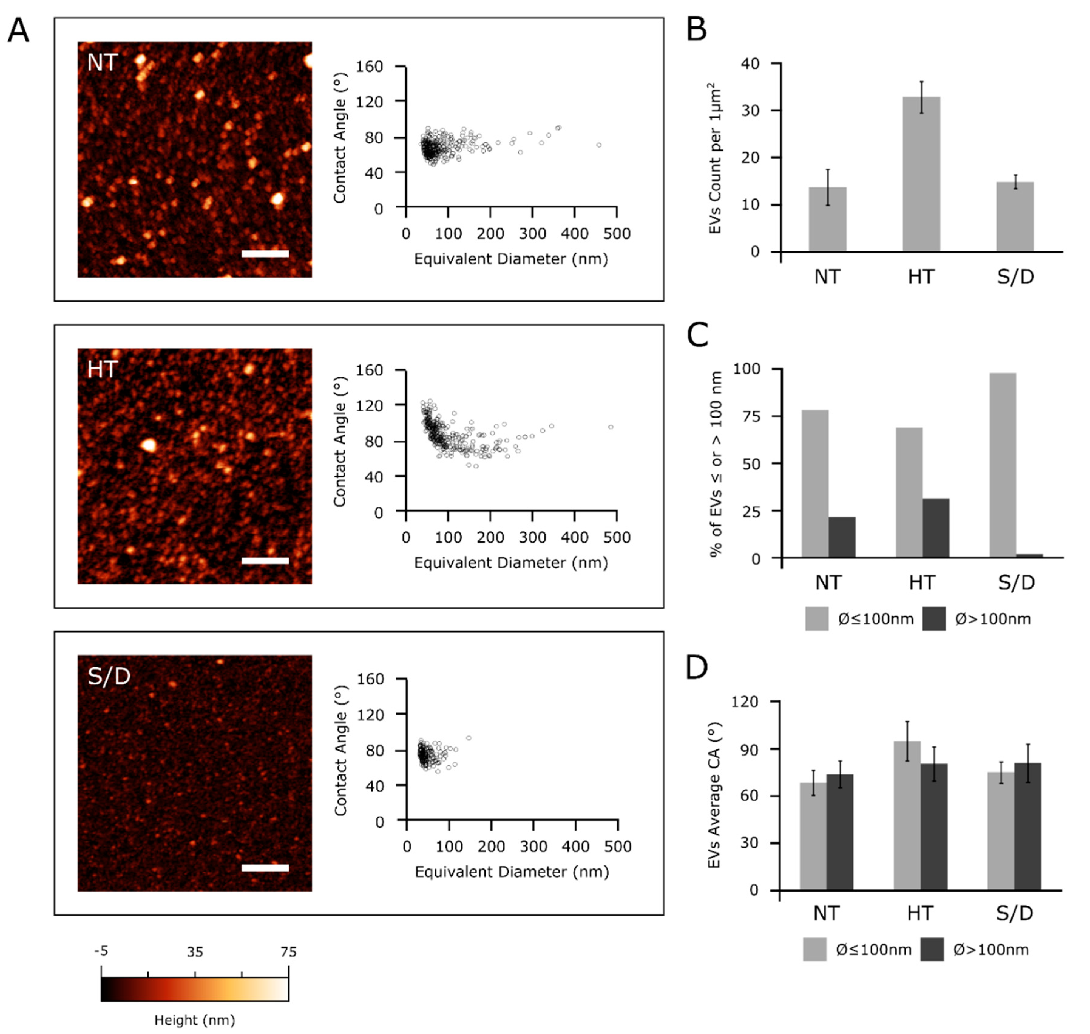 Cells 10 00544 g004 Cells 10 00544 g004