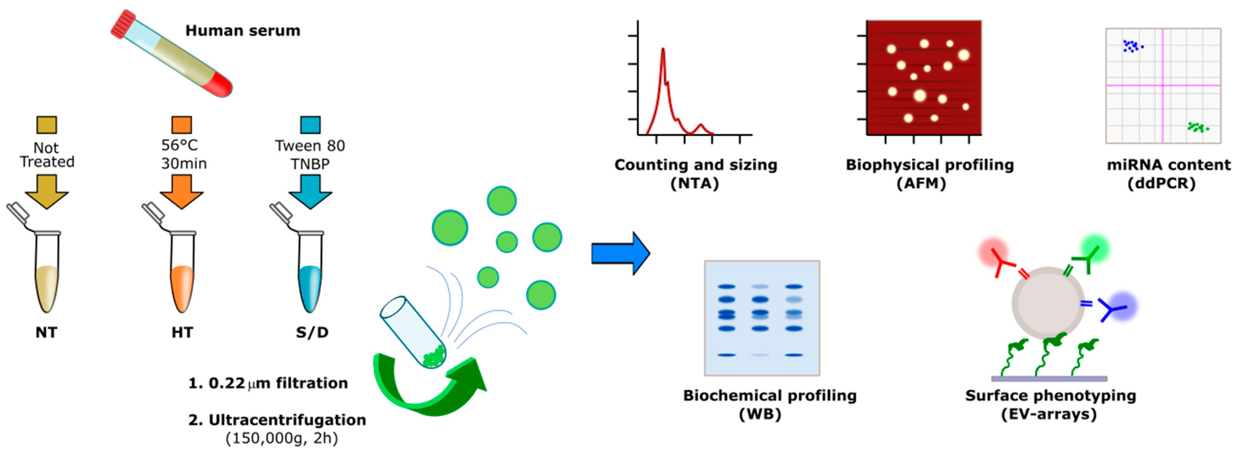 Cells 10 00544 sch001 Cells 10 00544 sch001