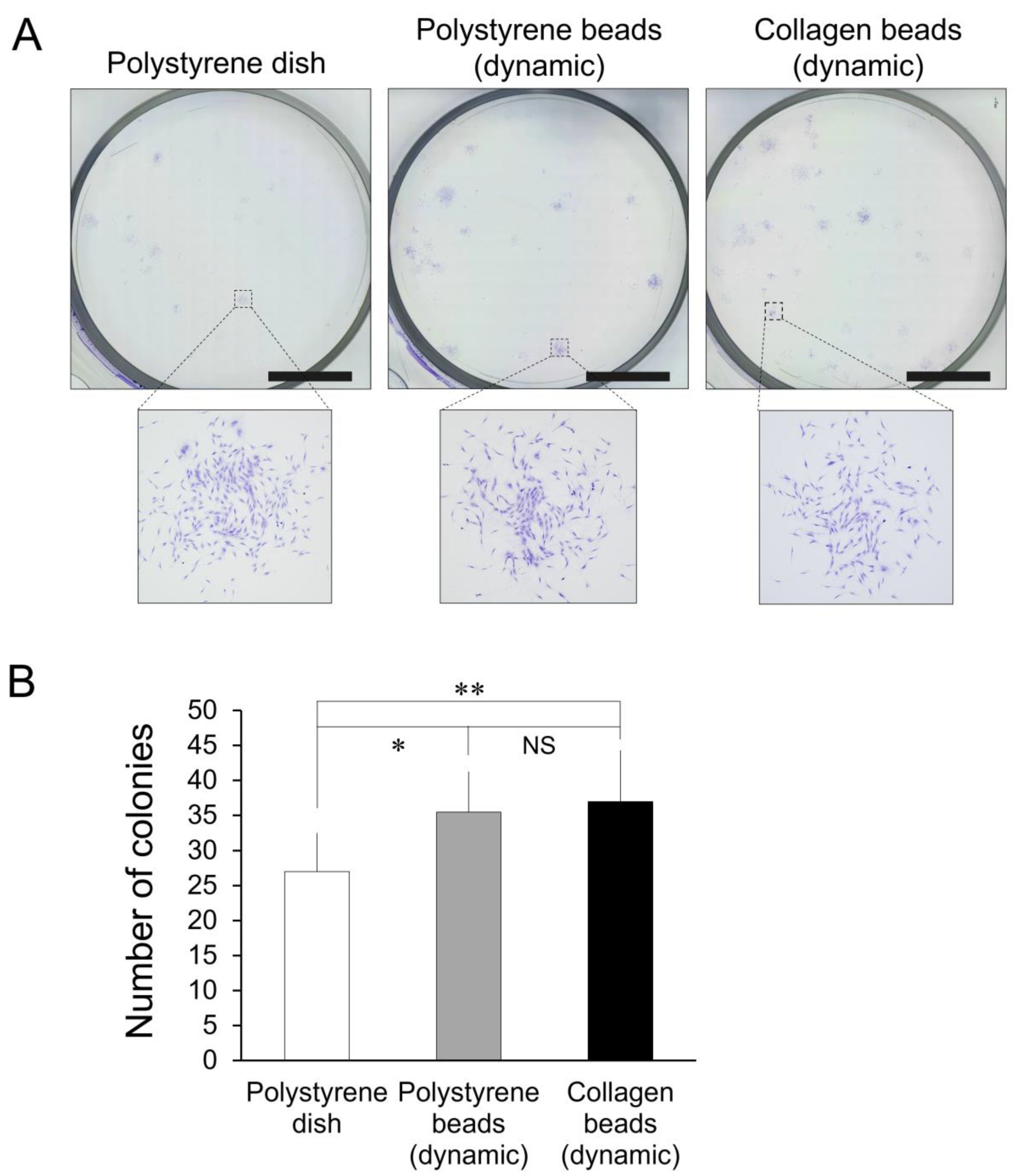 Cells 10 00560 g006 Cells 10 00560 g006