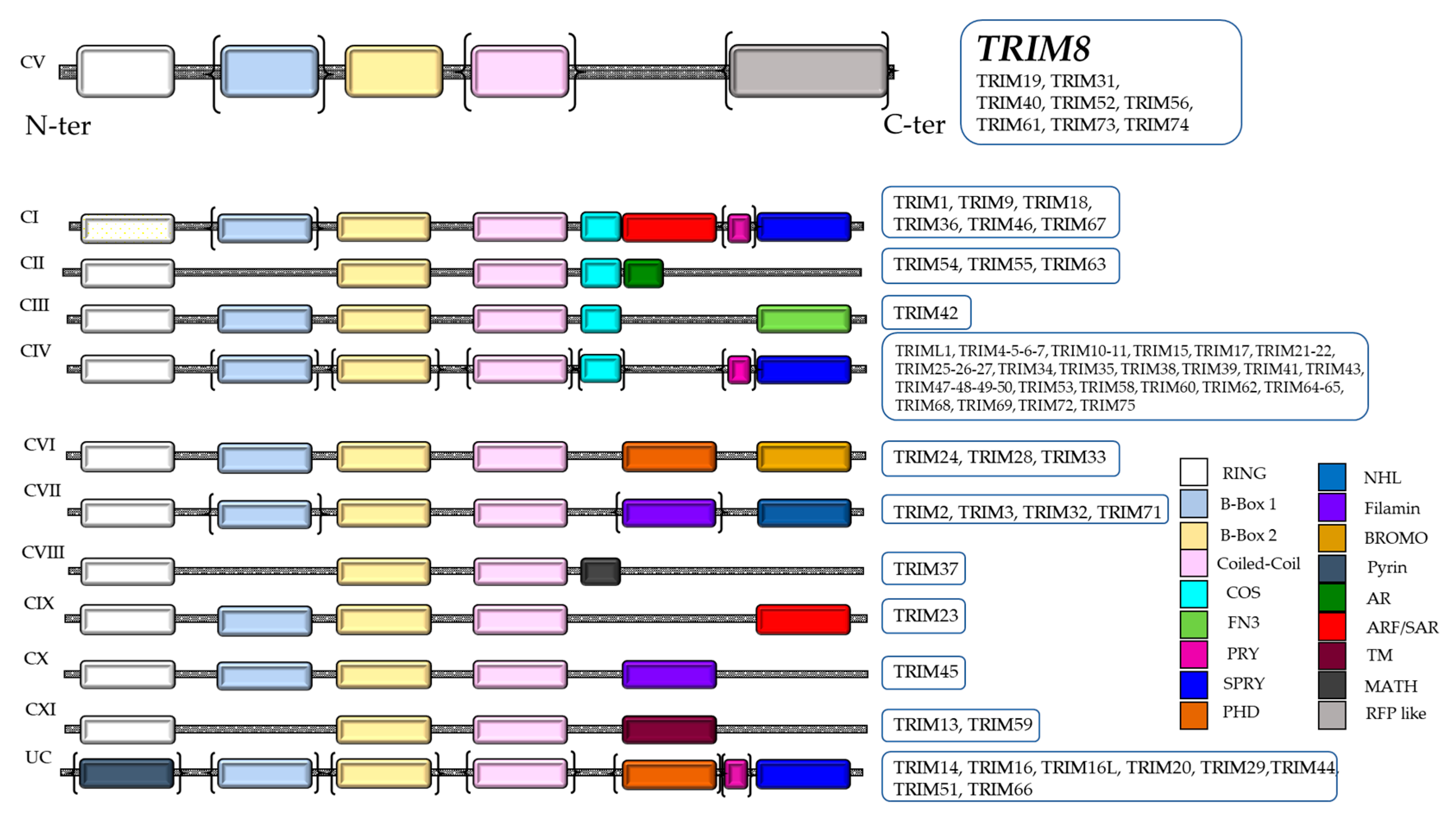 Cells 10 00561 g001 Cells 10 00561 g001
