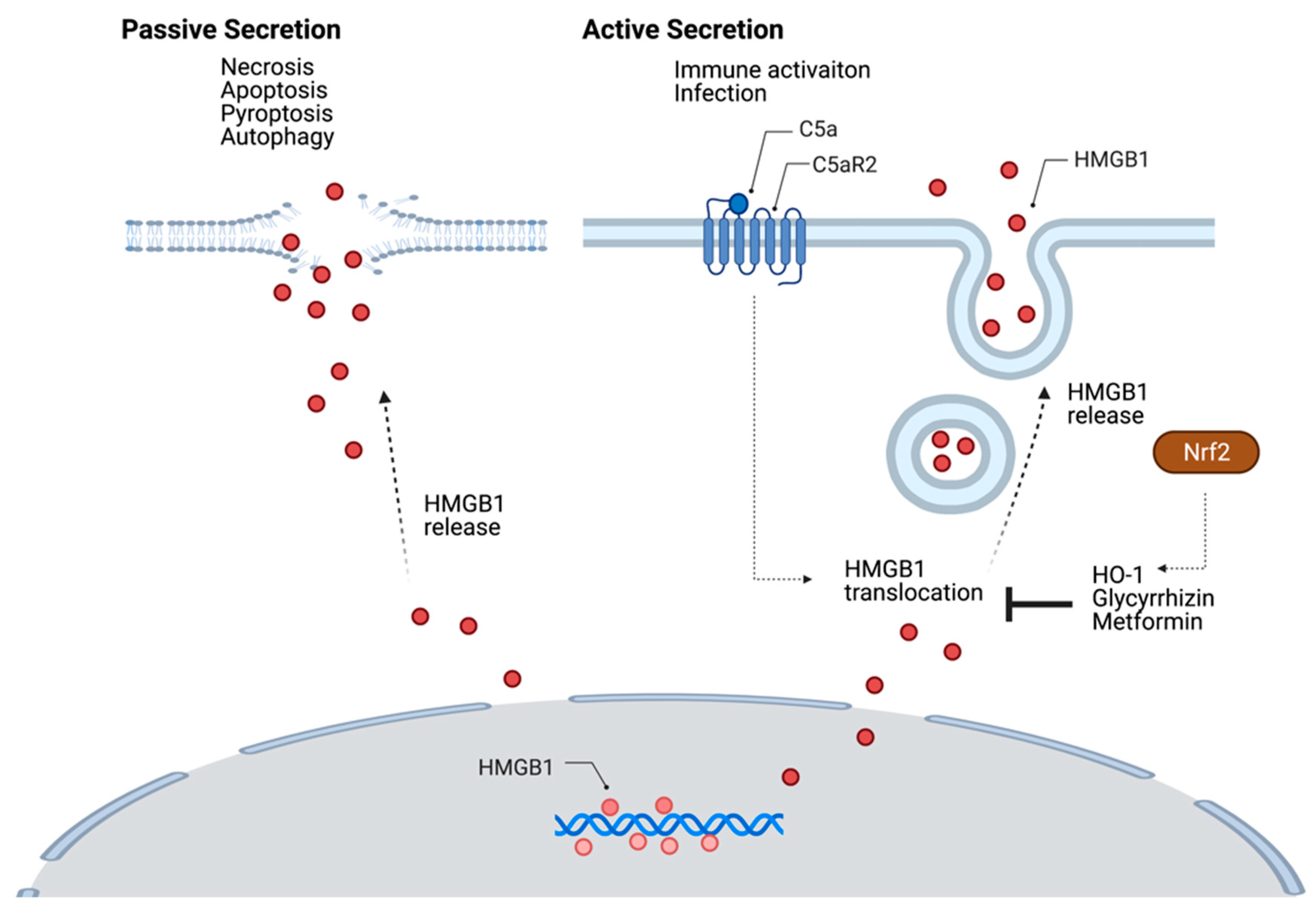 Cells 10 00564 g001