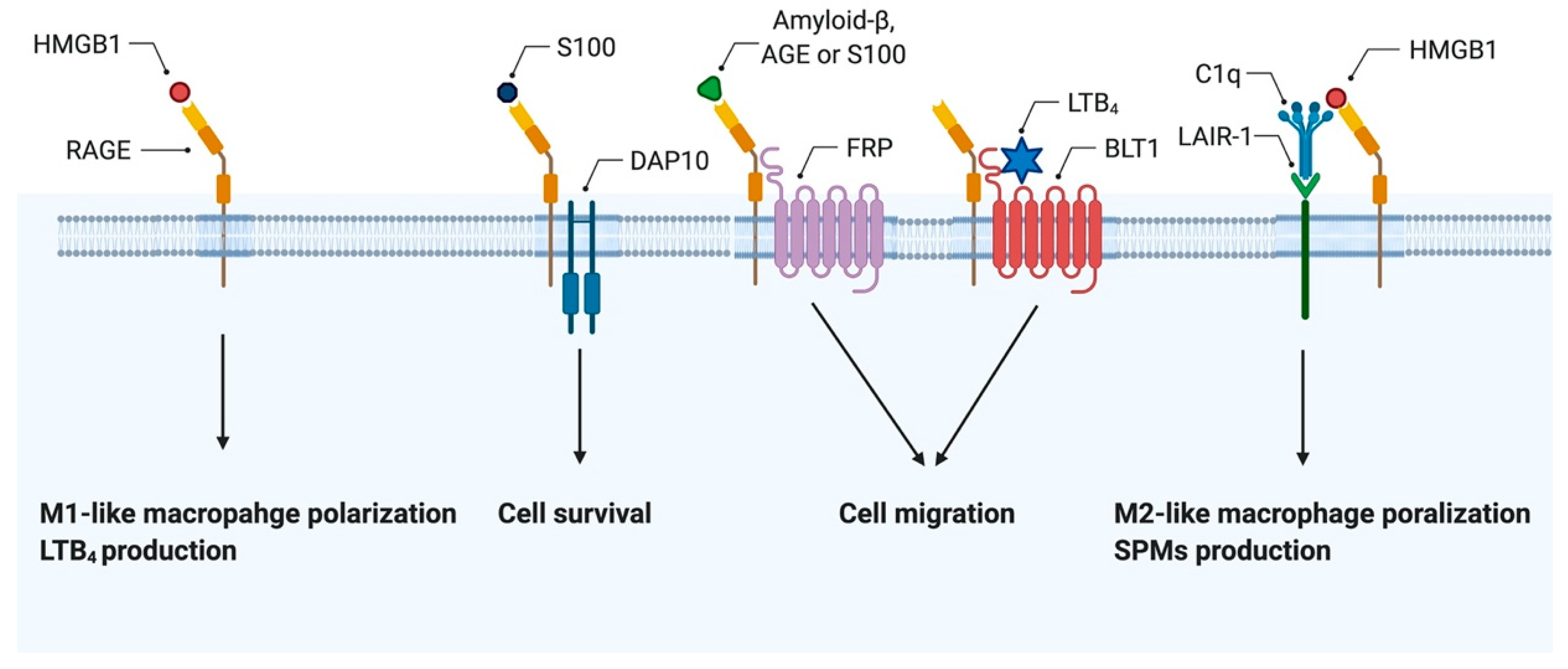 Cells 10 00564 g003