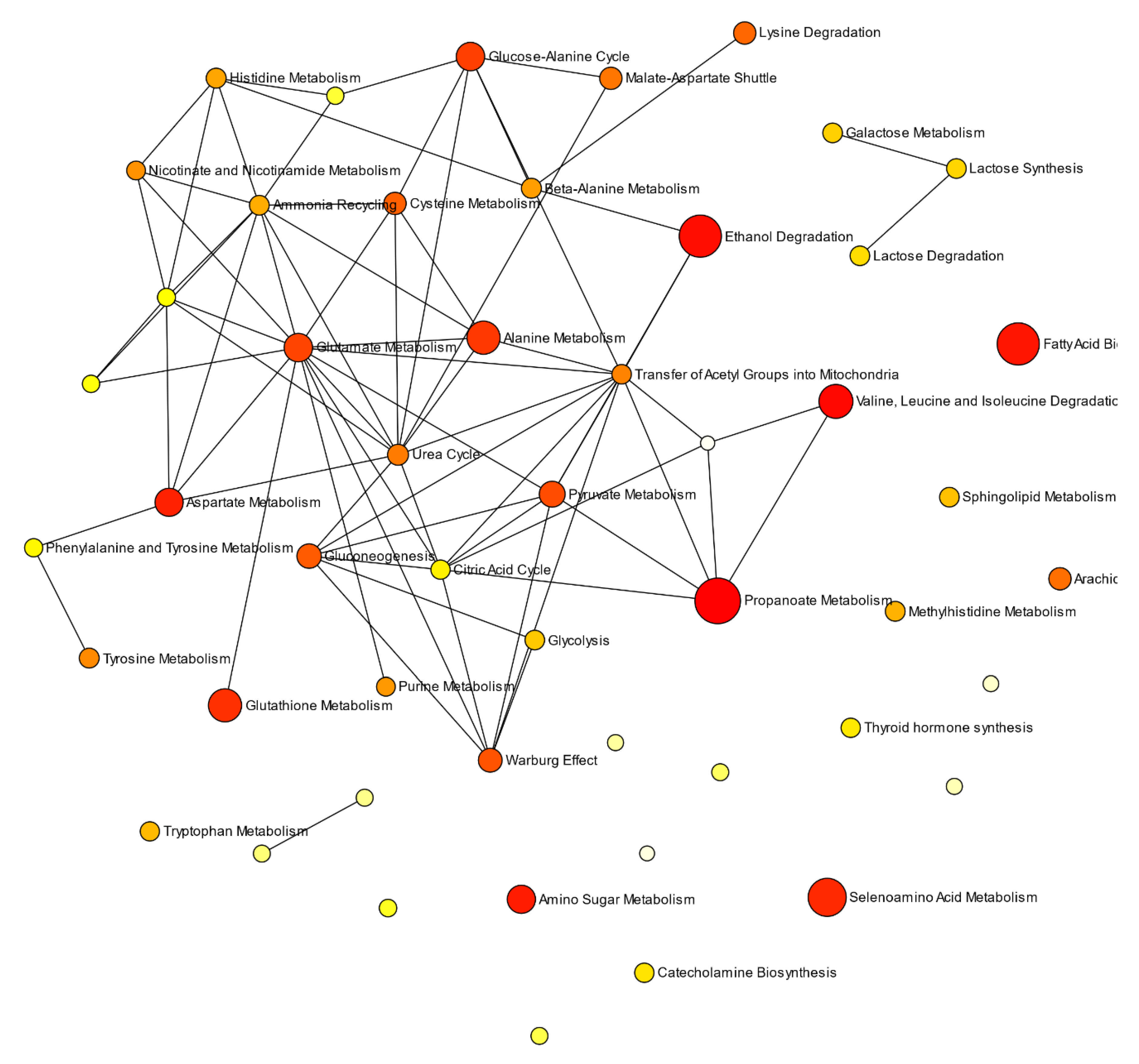 Cells 10 00572 g005 Cells 10 00572 g005