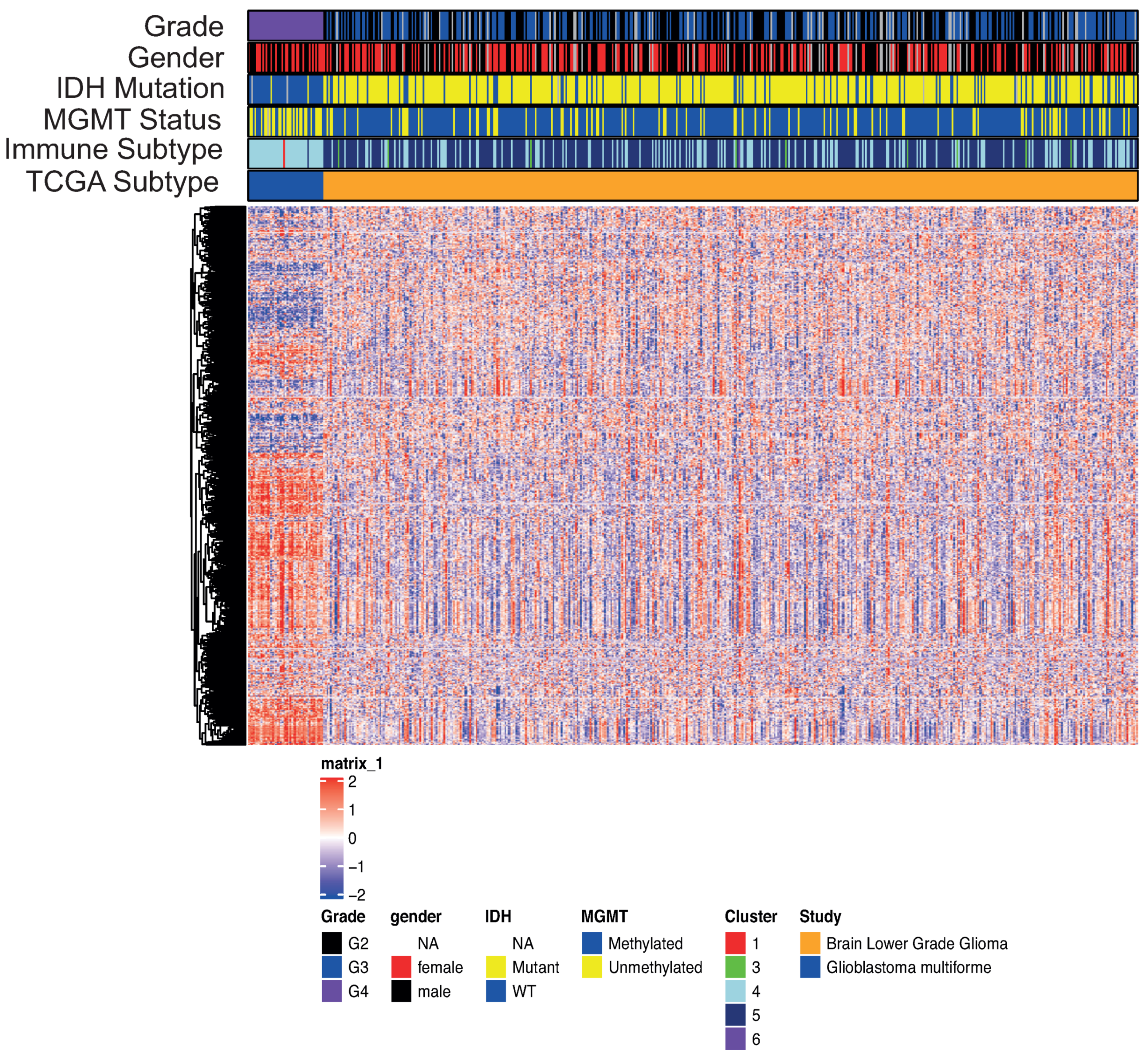 Cells 10 00576 g001 Cells 10 00576 g001