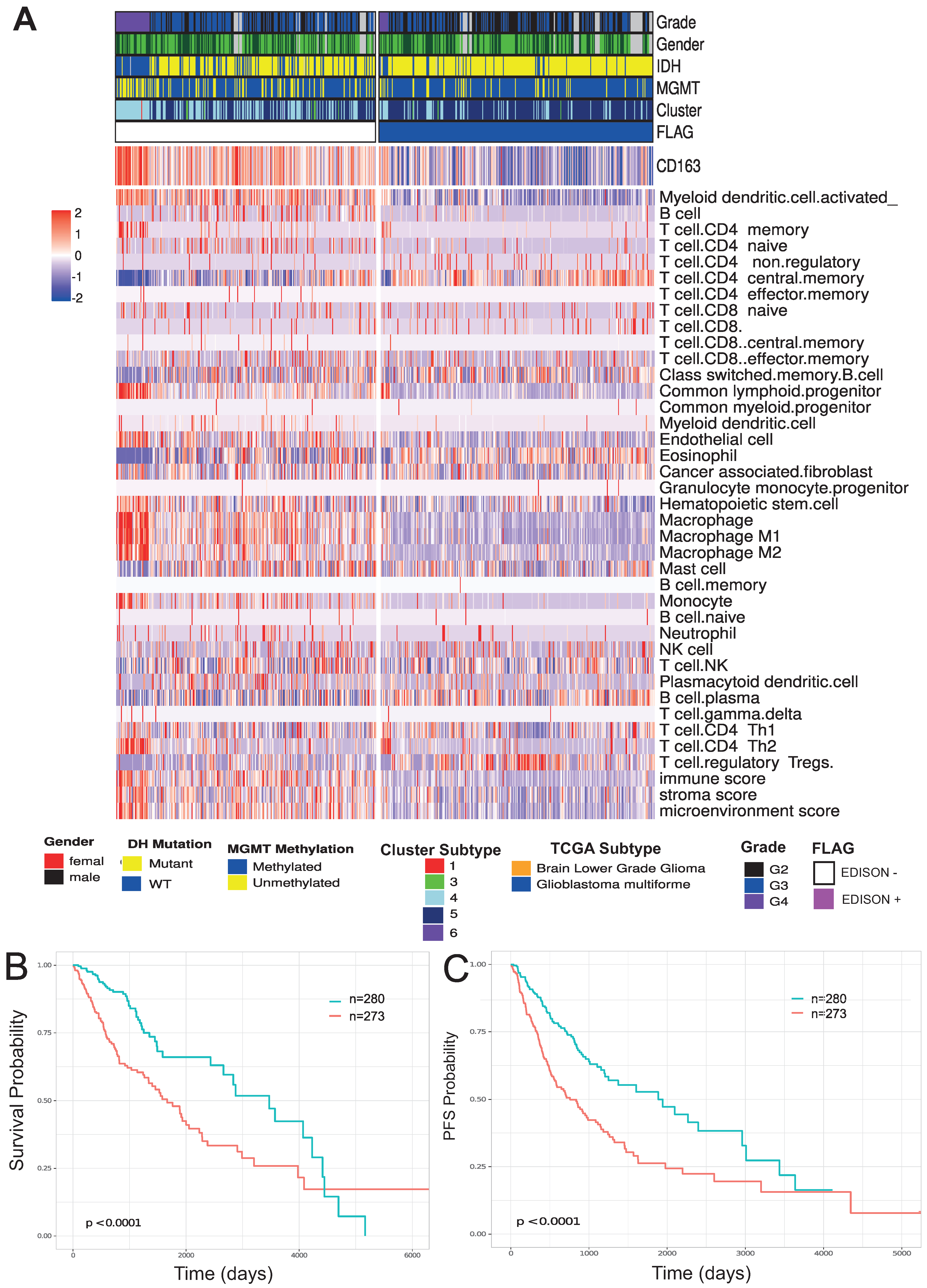 Cells 10 00576 g002 Cells 10 00576 g002