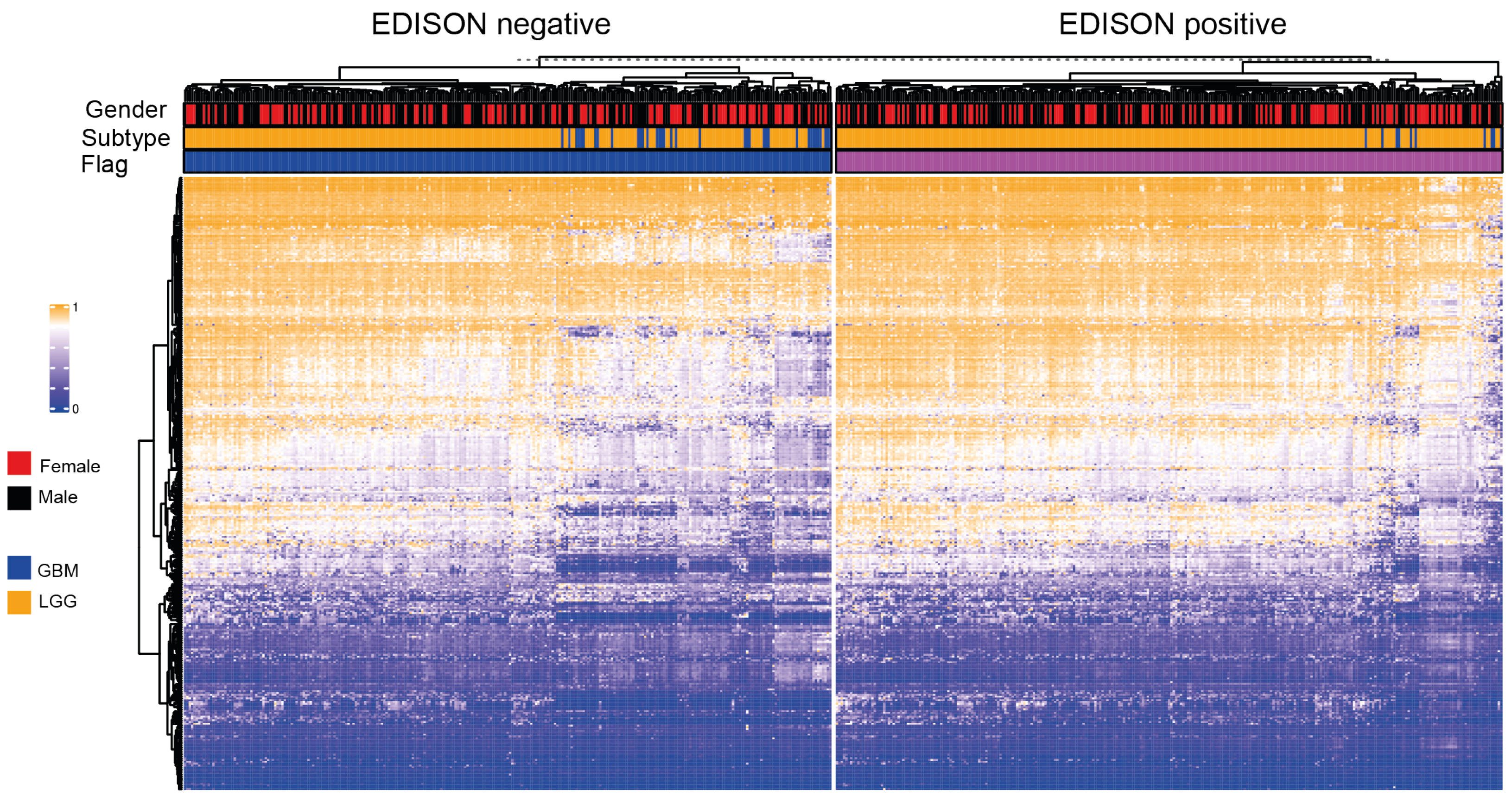 Cells 10 00576 g004 Cells 10 00576 g004